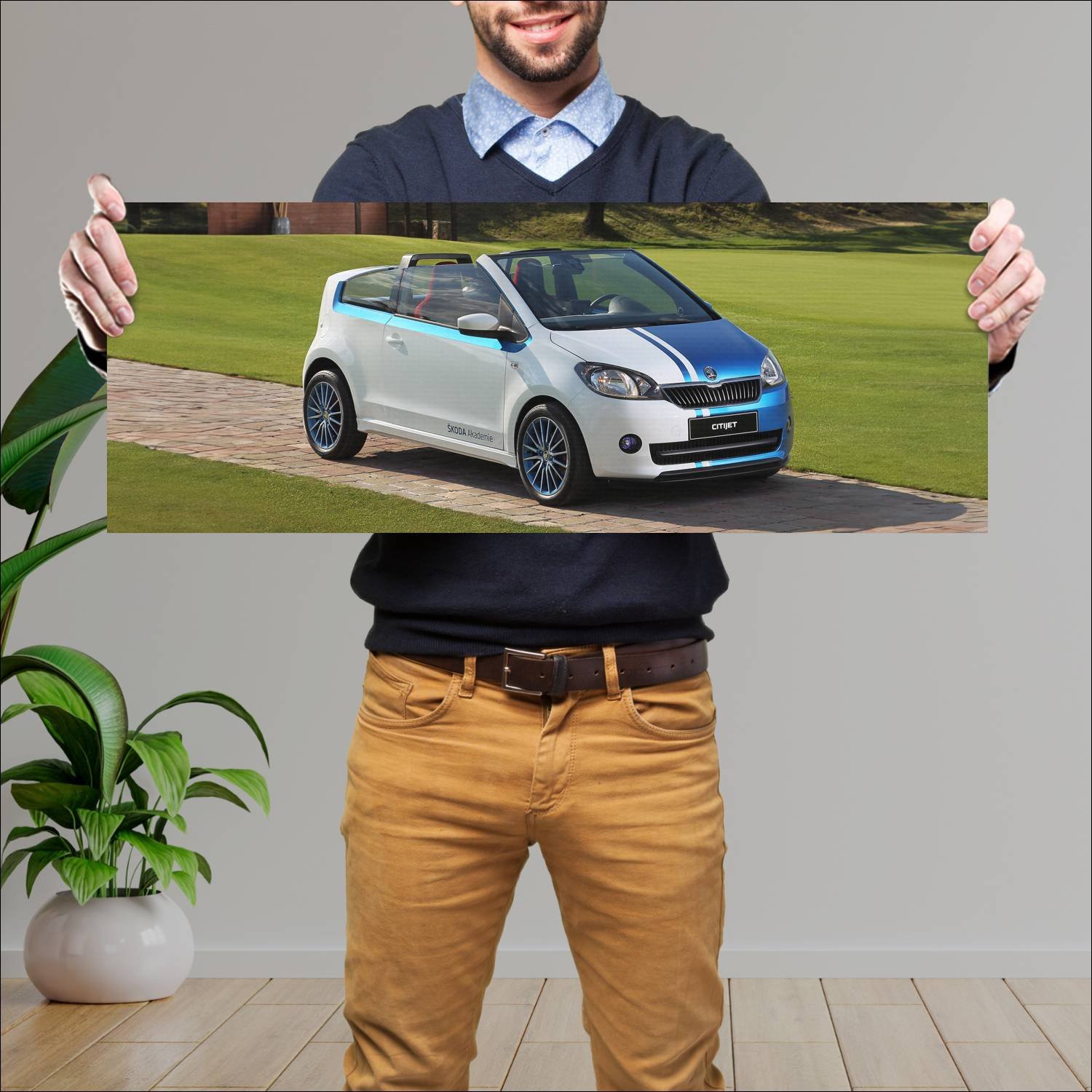 Cuadro grande 30x80cm 2014 skoda citijet auto 203 Skoda