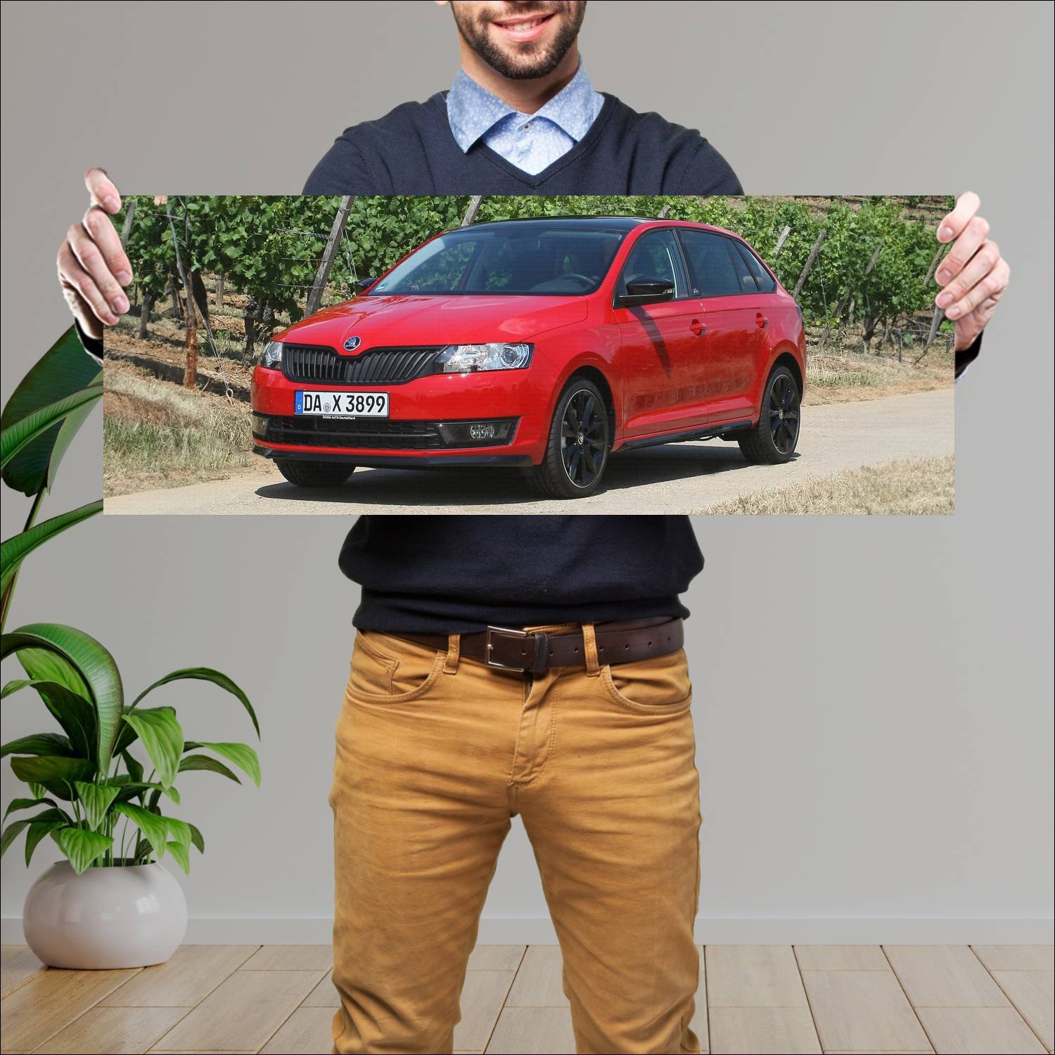 Cuadro grande 30x80cm 2014 skoda rapid spaceback m 217 Skoda