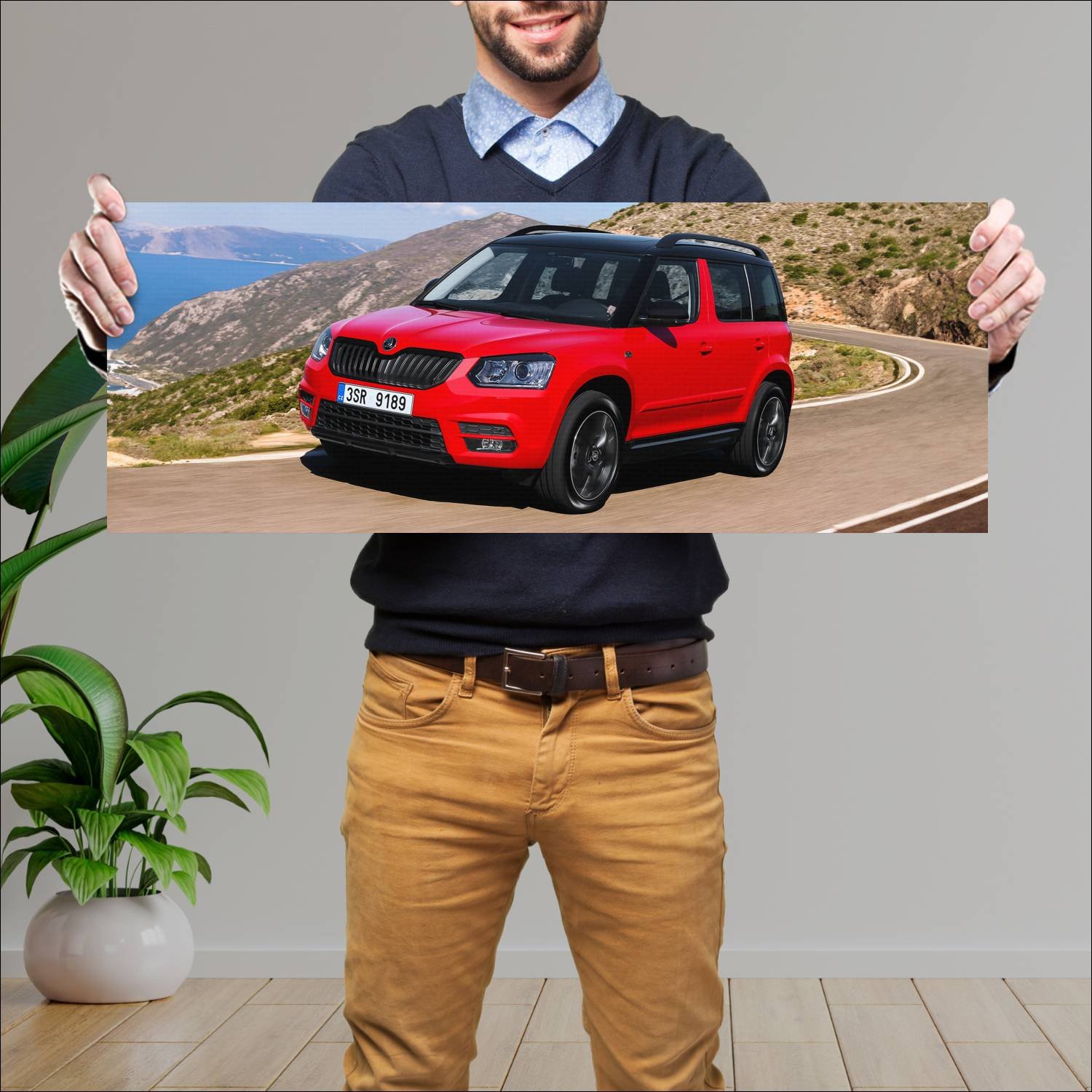 Cuadro grande 30x80cm 2014 skoda yeti monte carlo 224 Skoda