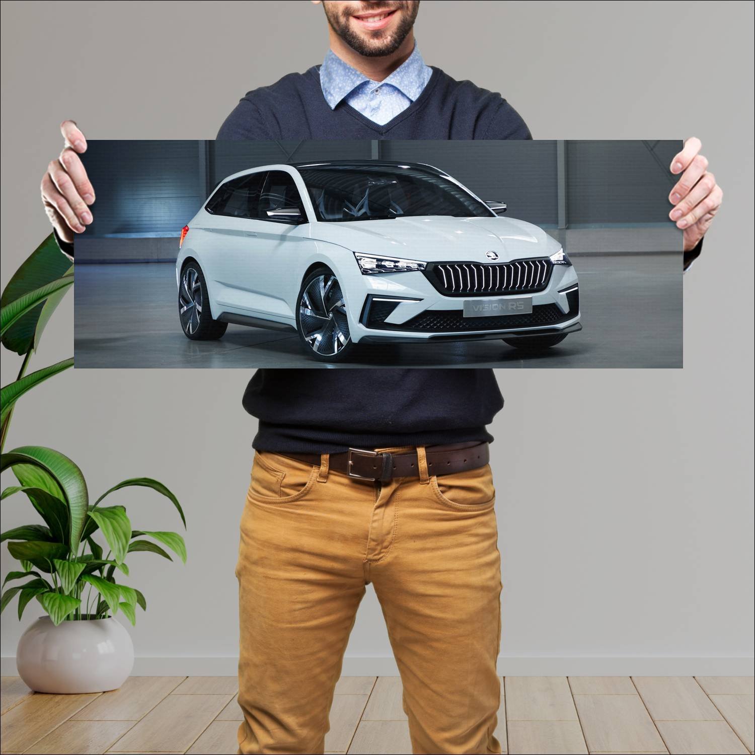 Cuadro grande 30x80cm 2018 skoda vision rs auto 360 Skoda