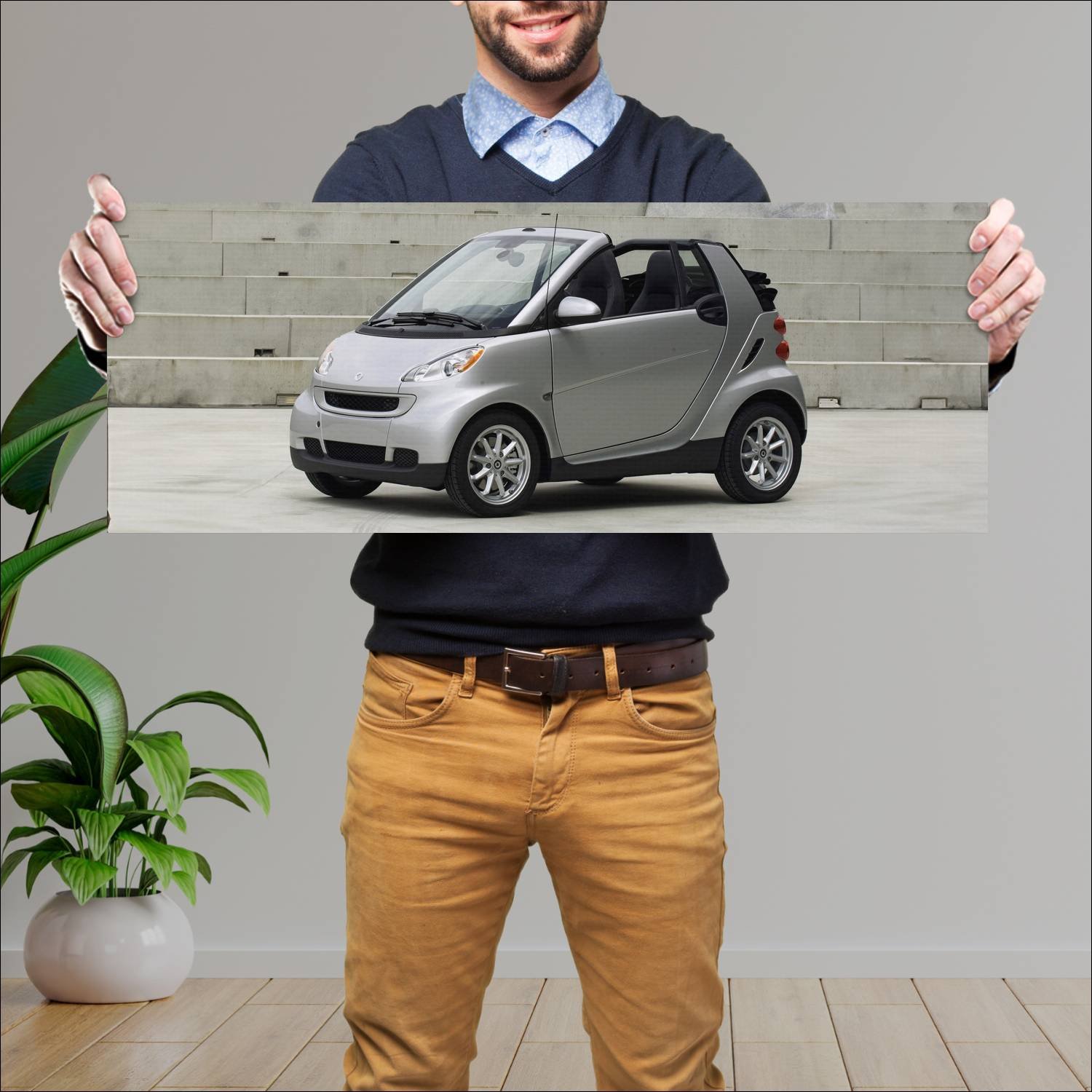 Cuadro grande 30x80cm 2008 smart fortwo cabrio pas 47 Smart