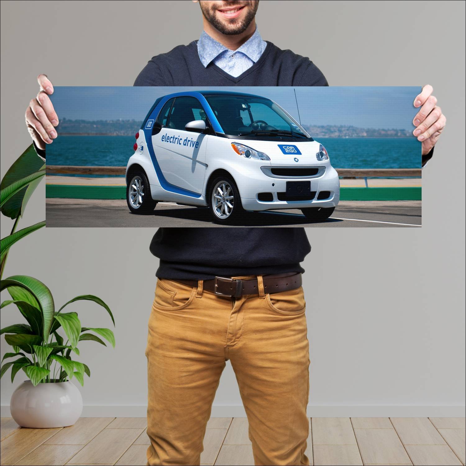 Cuadro grande 30x80cm 2008 smart fortwo car2go ele 49 Smart