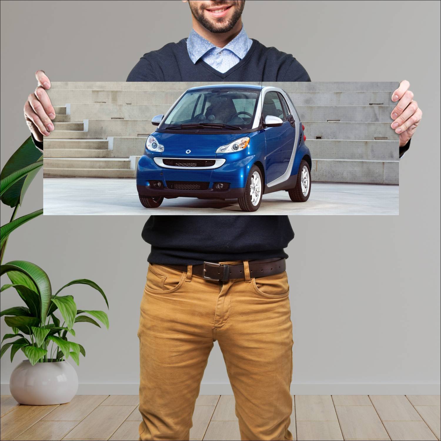 Cuadro grande 30x80cm 2008 smart fortwo passion us 51 Smart