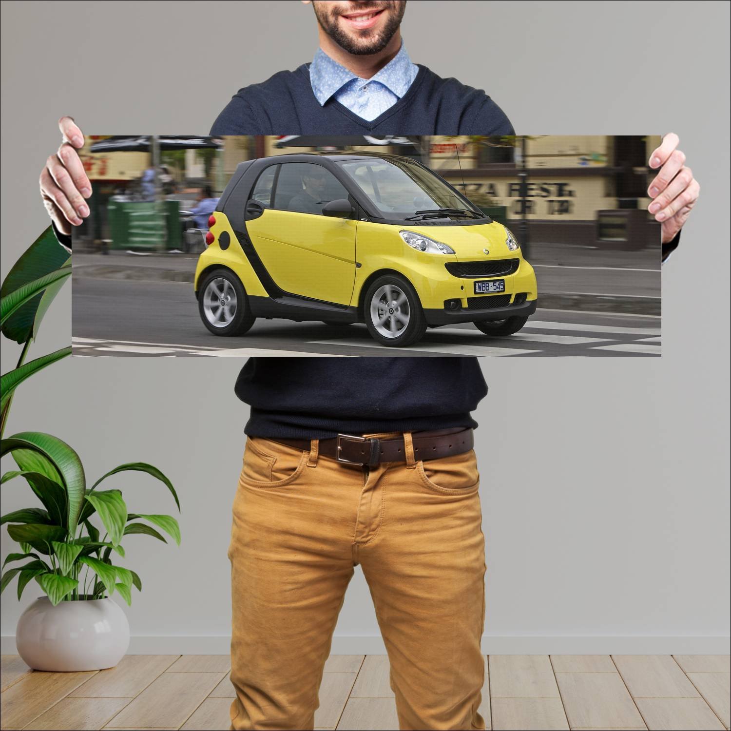Cuadro grande 30x80cm 2008 smart fortwo pulse au 3 52 Smart