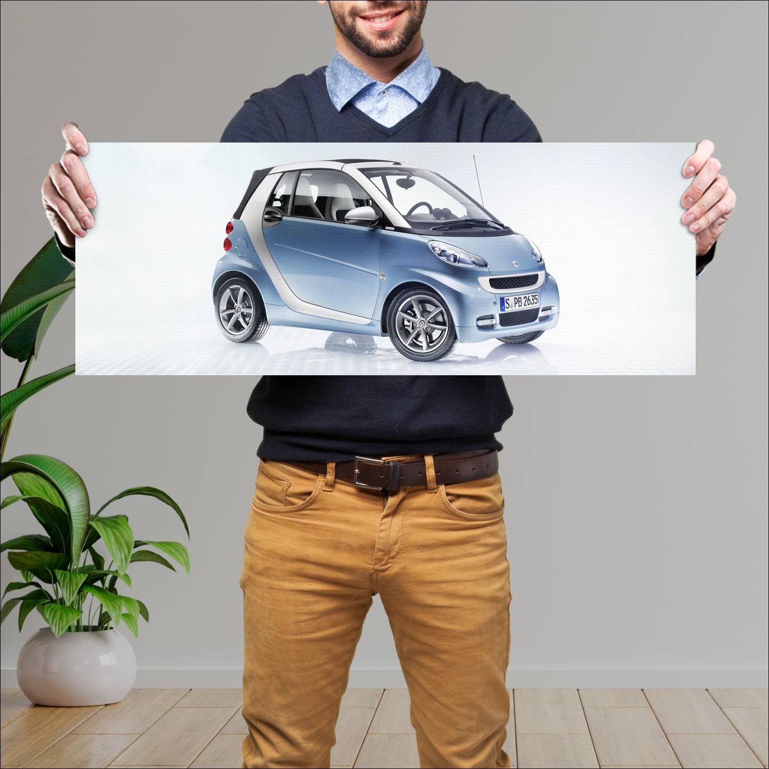 Cuadro grande 30x80cm 2010 smart fortwo cabrio lig 67 Smart