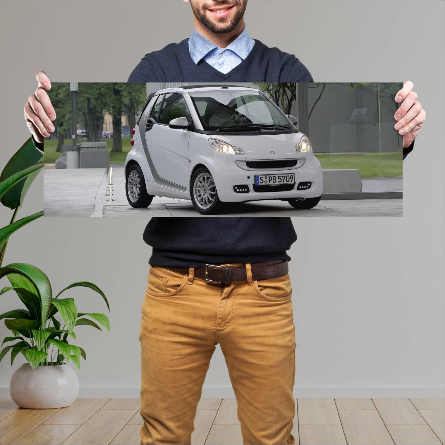 Cuadro grande 30x80cm 2010 smart fortwo cabrio pas 68 Smart