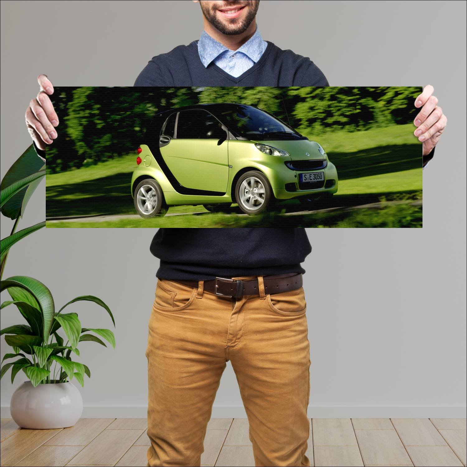 Cuadro grande 30x80cm 2010 smart fortwo pulse 2995 71 Smart