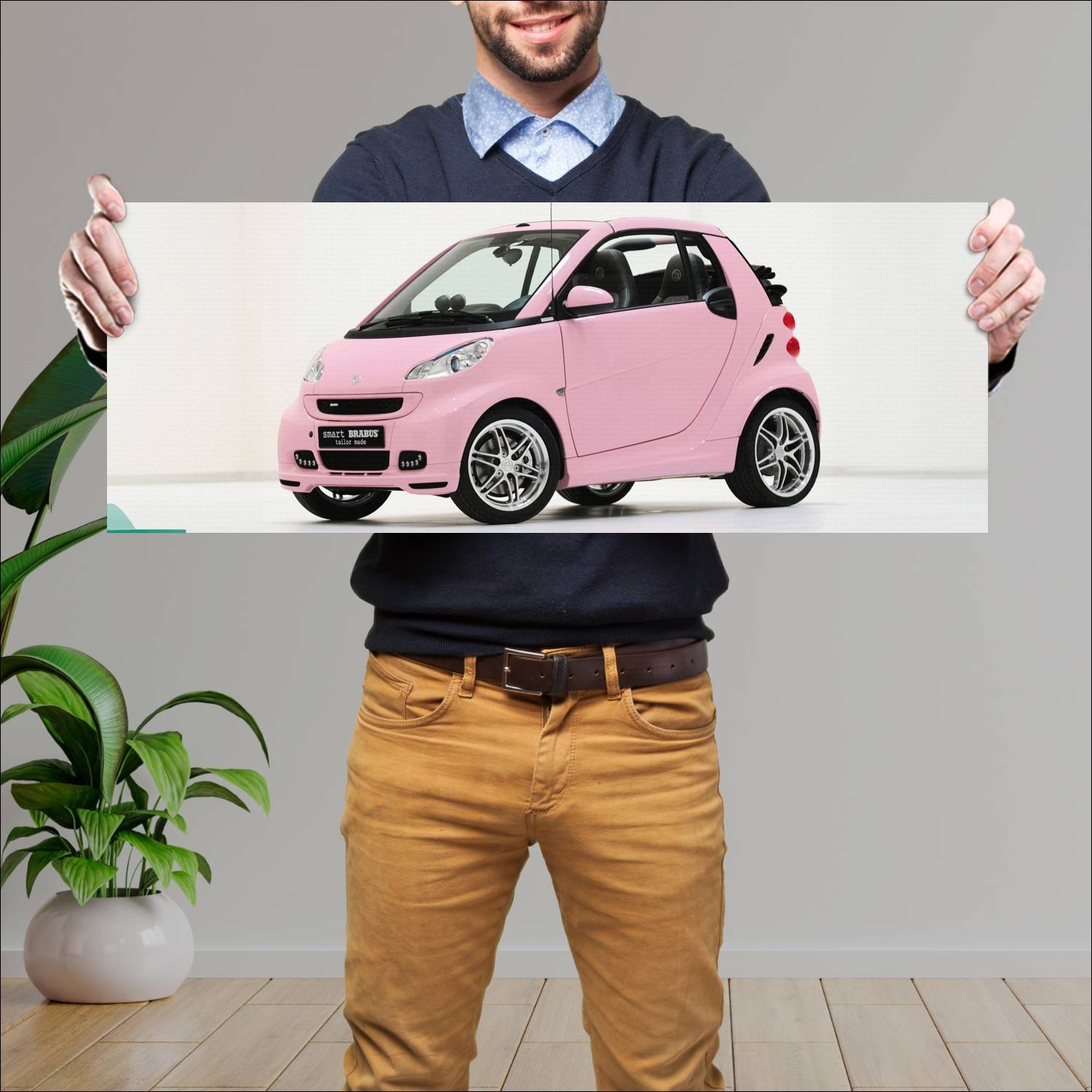 Cuadro grande 30x80cm 2011 smart brabus tailor mad 73 Smart