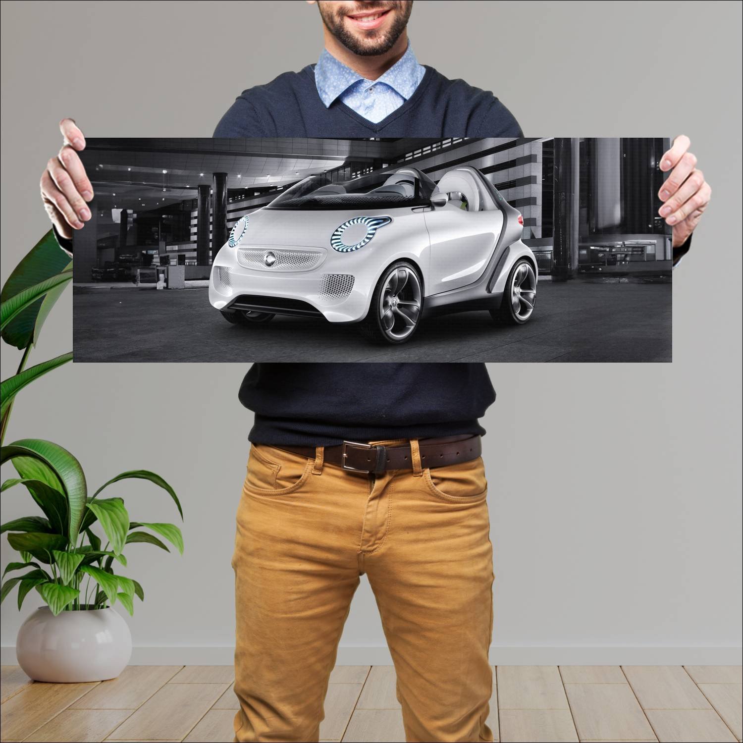 Cuadro grande 30x80cm 2011 smart forspeed concept 74 Smart