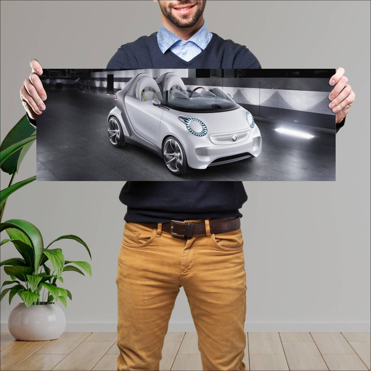 Cuadro grande 30x80cm 2011 smart forspeed concept 75 Smart