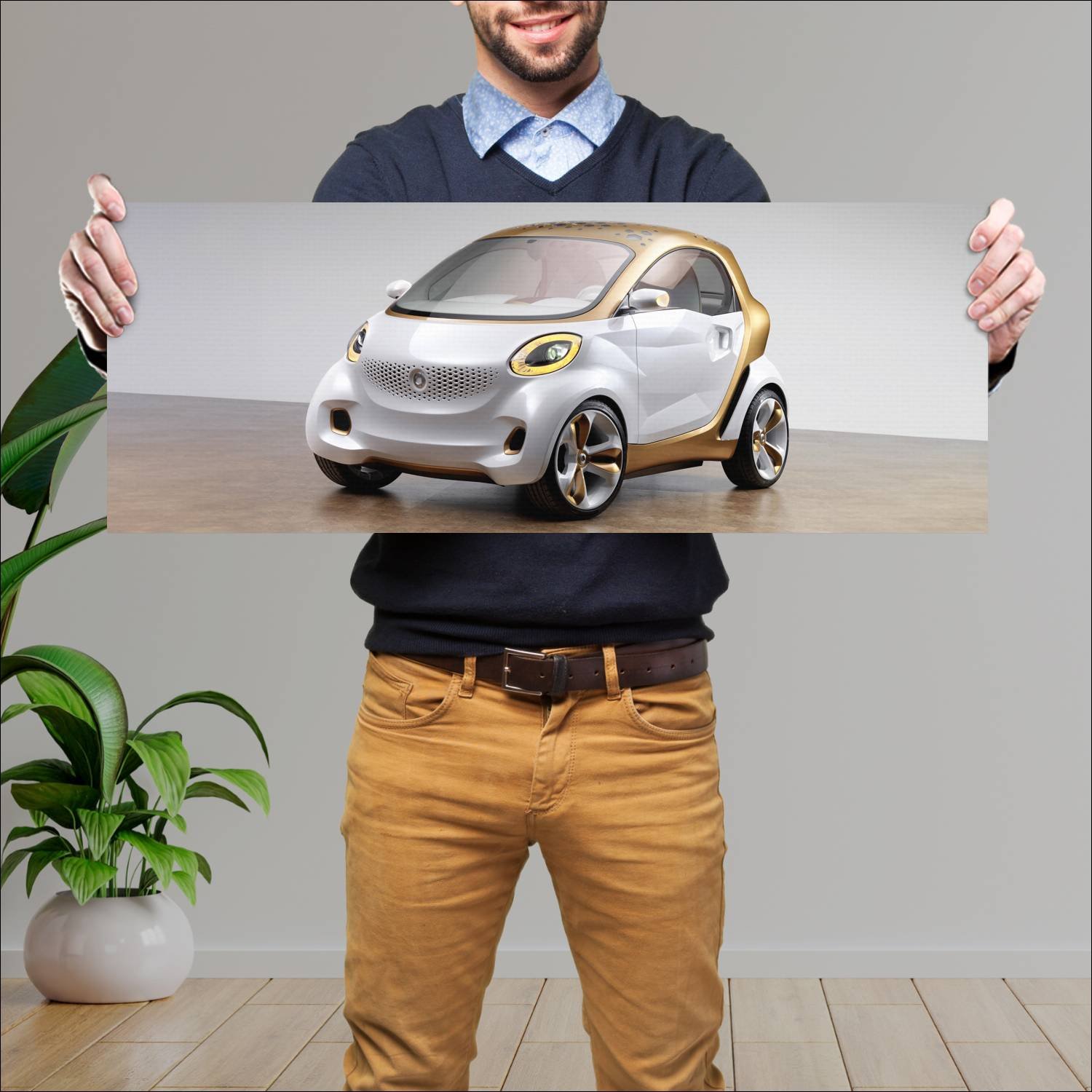 Cuadro grande 30x80cm 2011 smart forvision concept 80 Smart