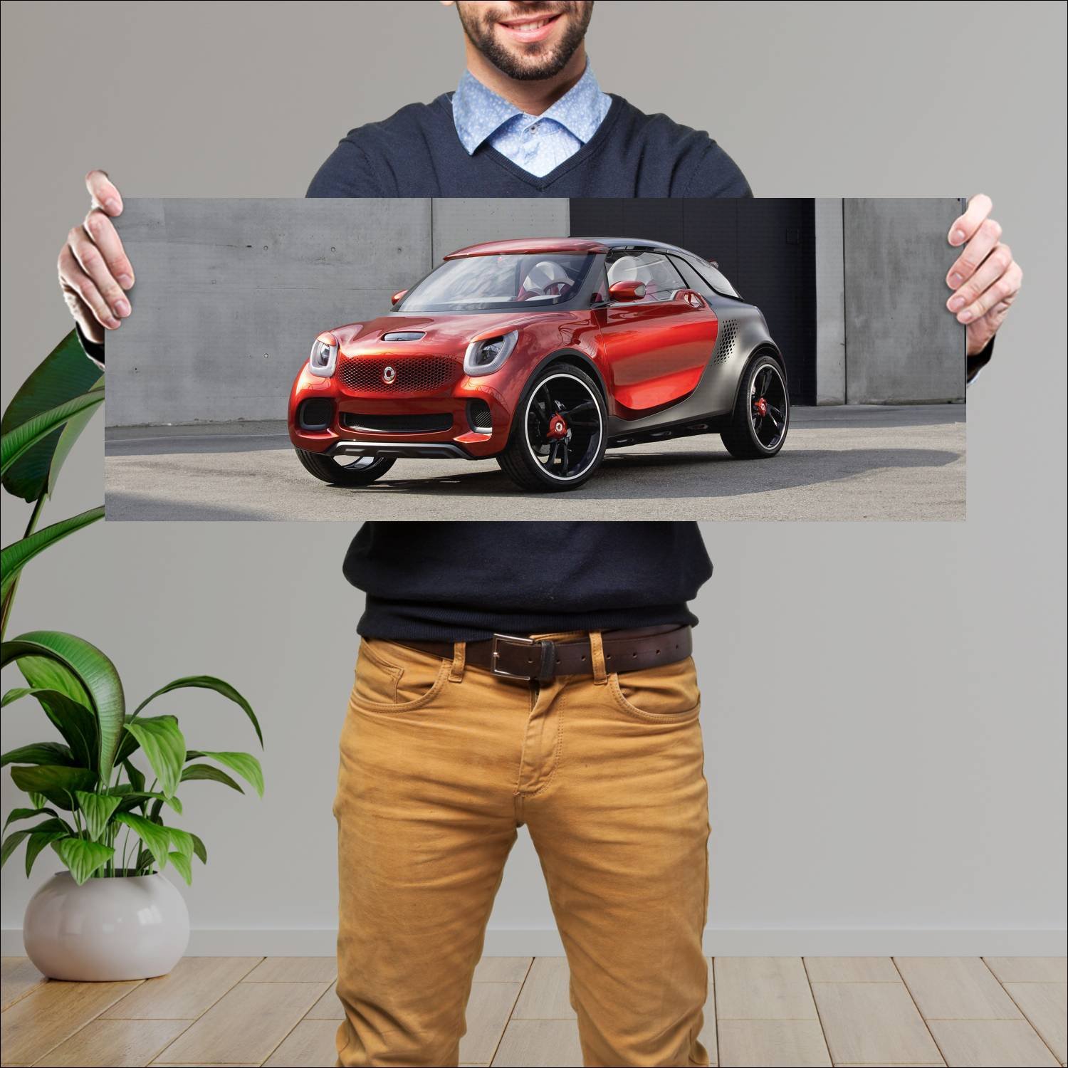 Cuadro grande 30x80cm 2012 smart forstars concept 87 Smart