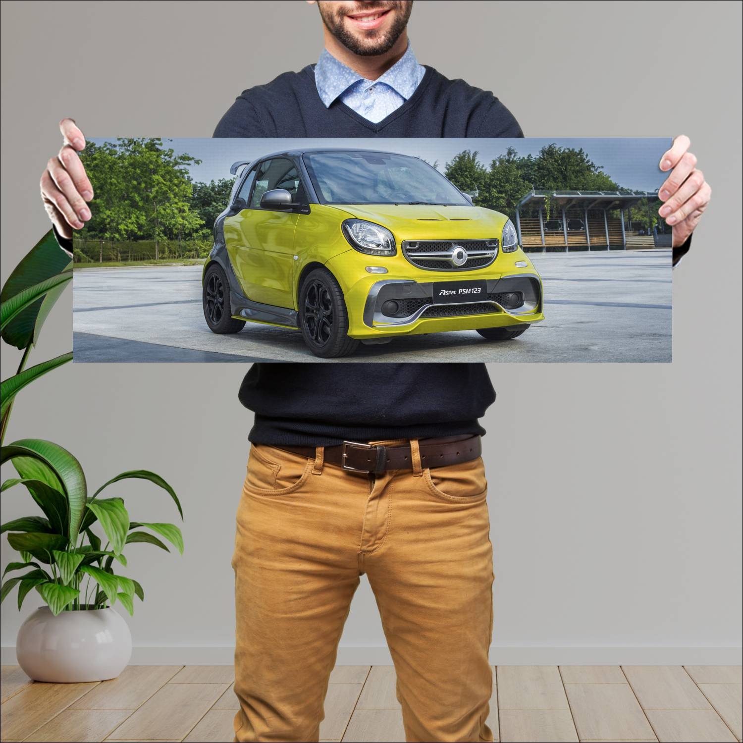Cuadro grande 30x80cm 2017 aspec psm123 auto 131 Smart