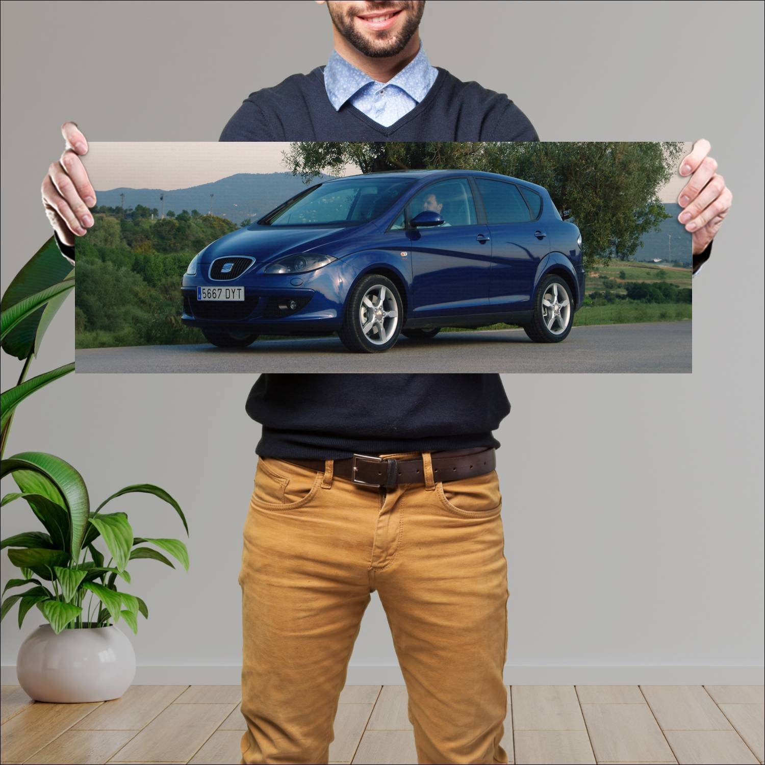 Cuadro grande 30x80cm 2004 seat toledo auto 48 Seat