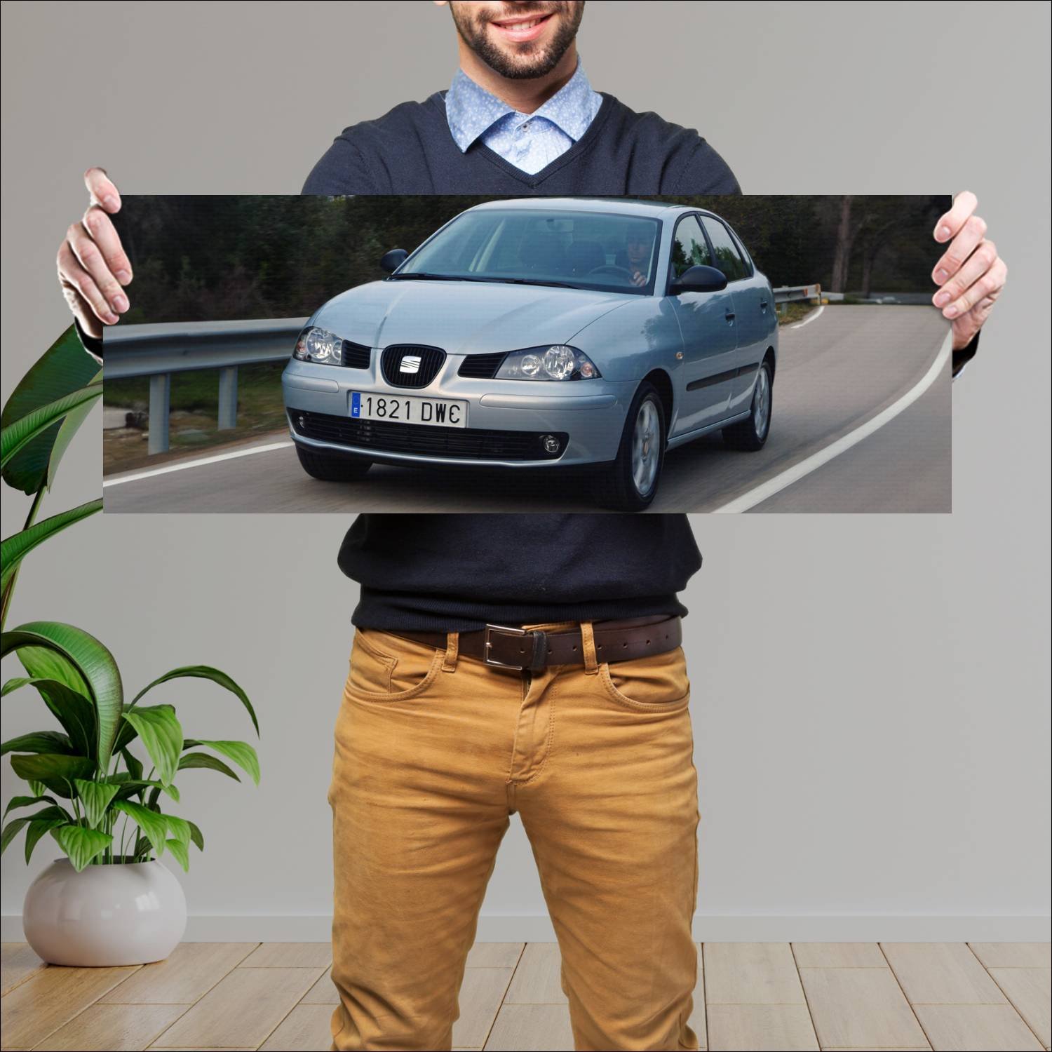 Cuadro grande 30x80cm 2006 seat cordoba auto 58 Seat