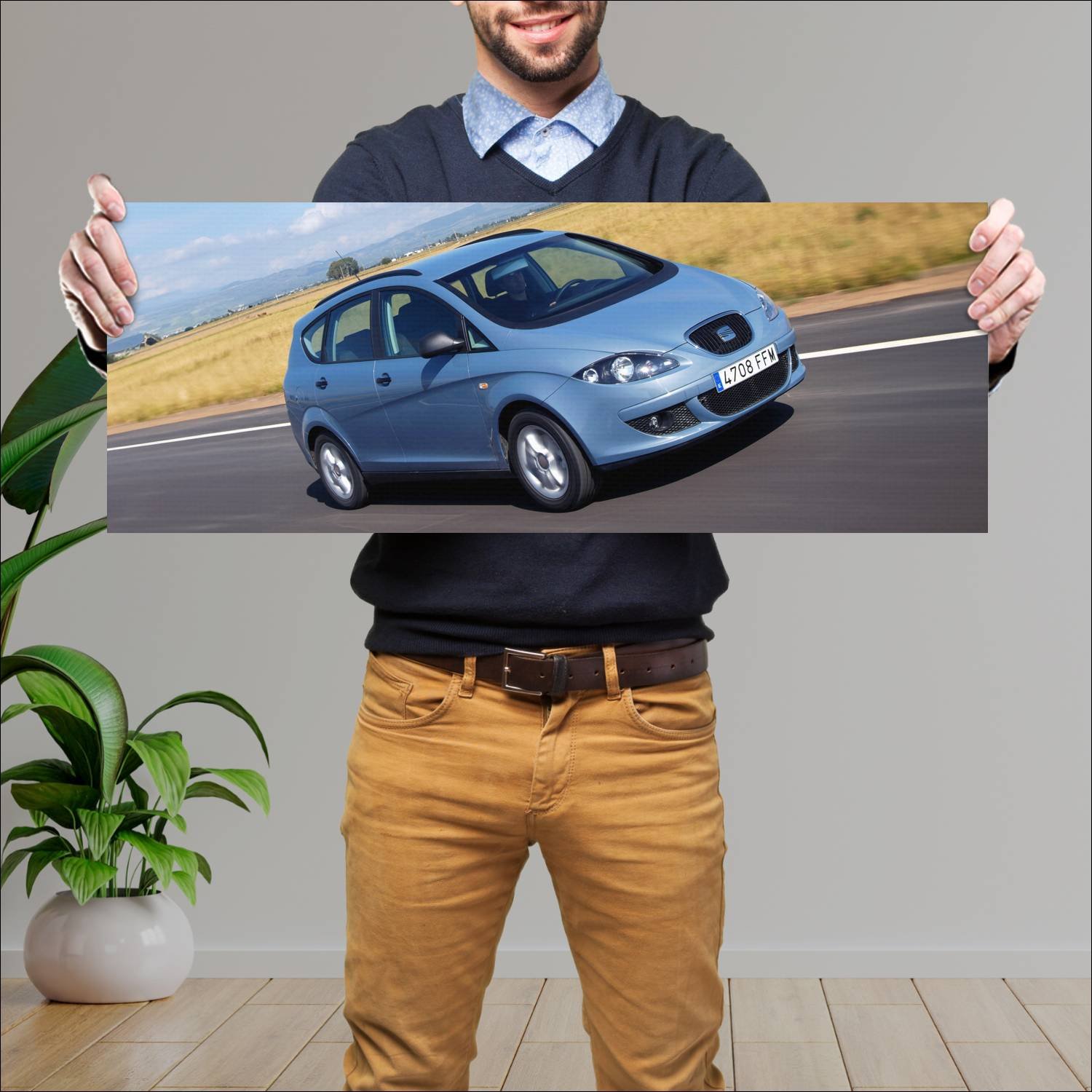 Cuadro grande 30x80cm 2007 seat altea xl auto 70 Seat
