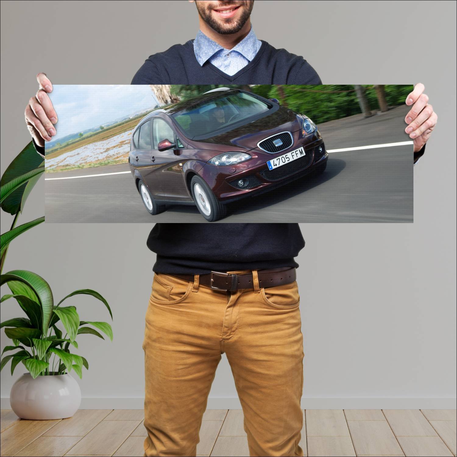Cuadro grande 30x80cm 2007 seat altea xl auto 72 Seat