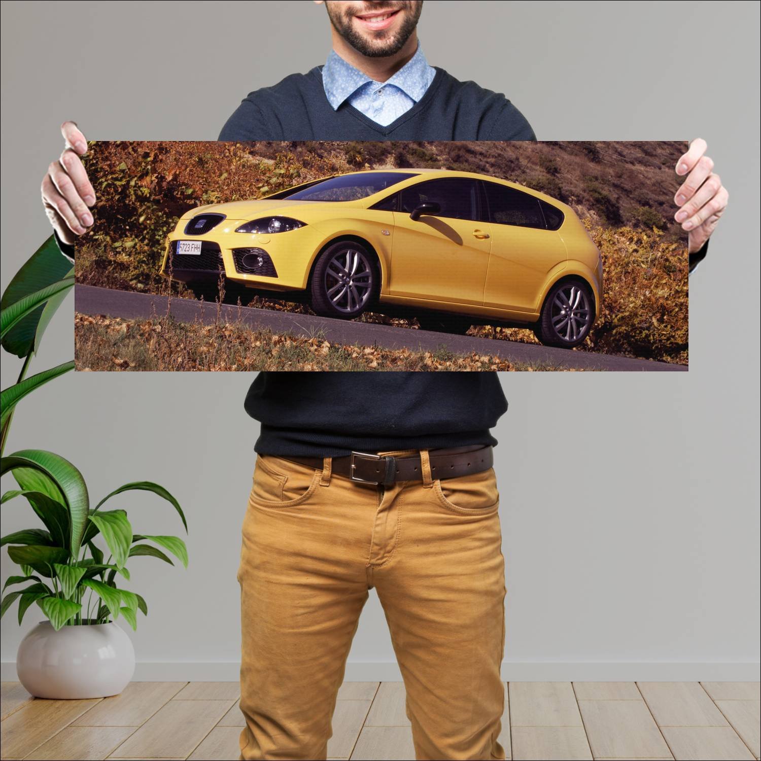Cuadro grande 30x80cm 2007 seat leon cupra auto 74 Seat