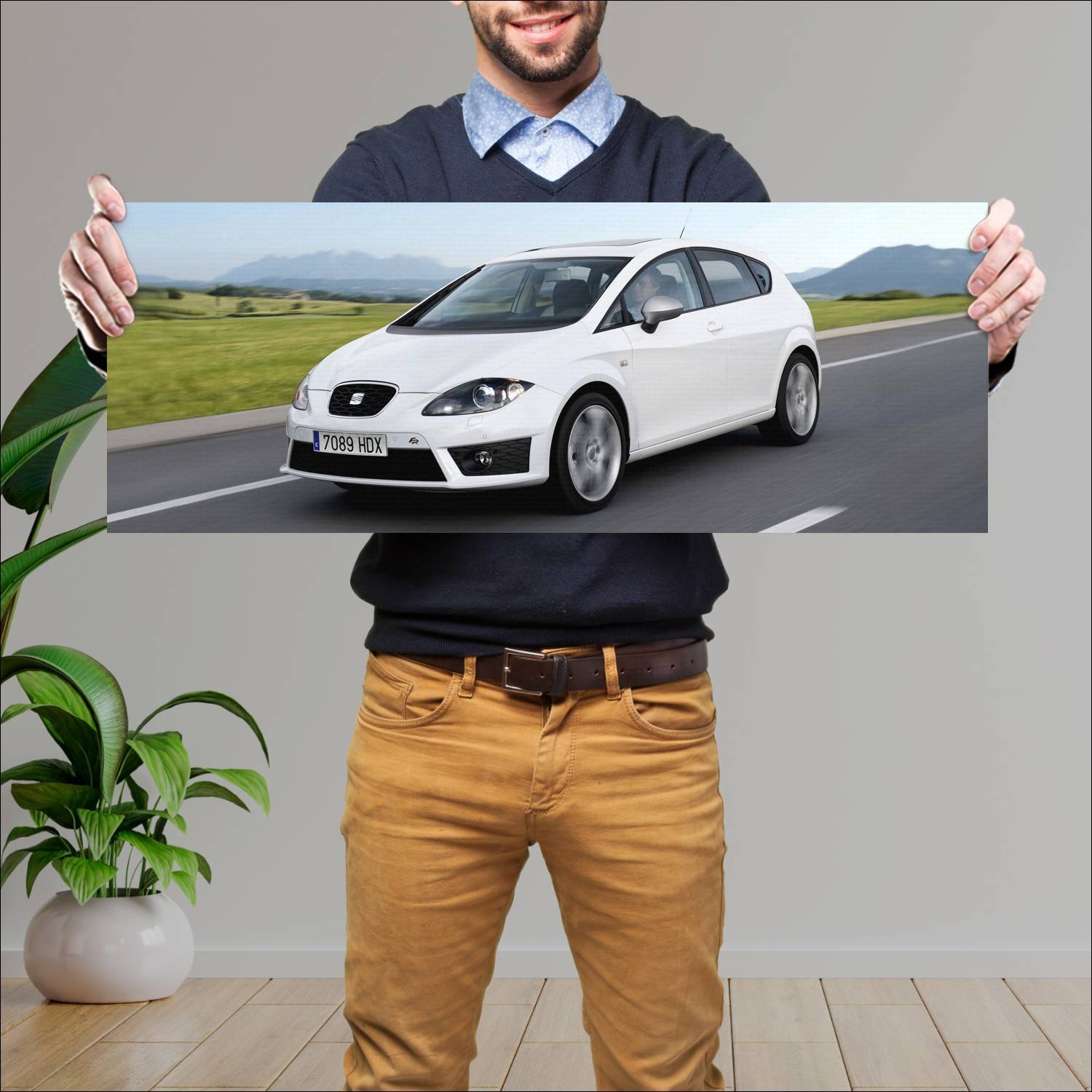 Cuadro grande 30x80cm 2009 seat leon fr Seat