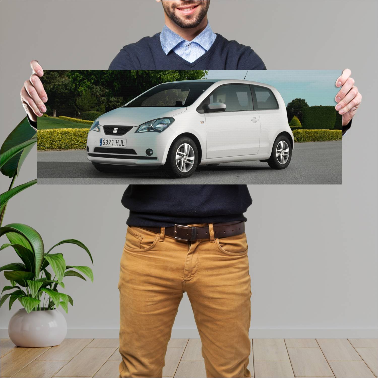Cuadro grande 30x80cm 2011 seat mii 3 door auto 163 Seat