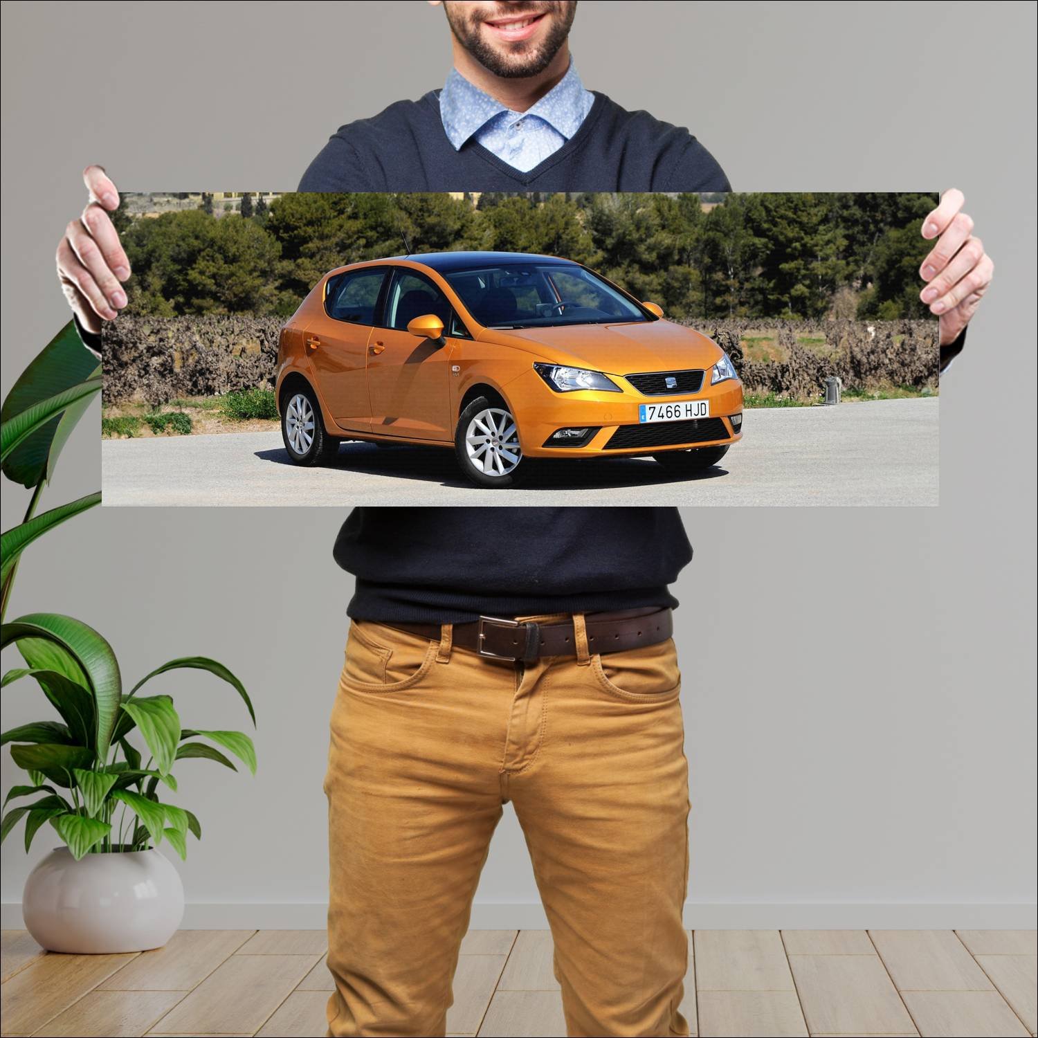 Cuadro grande 30x80cm 2012 seat ibiza Seat