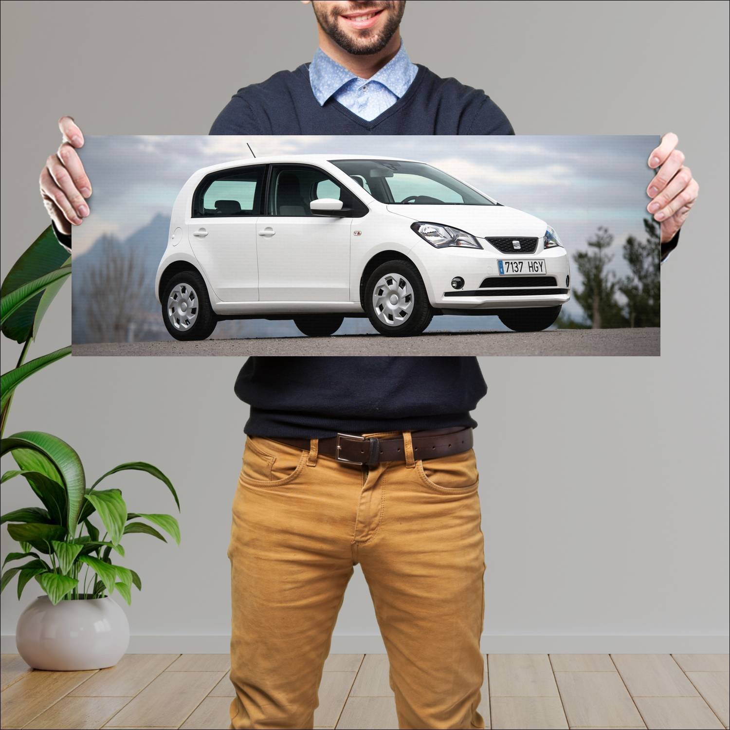 Cuadro grande 30x80cm 2012 seat mii 5 door auto 198 Seat