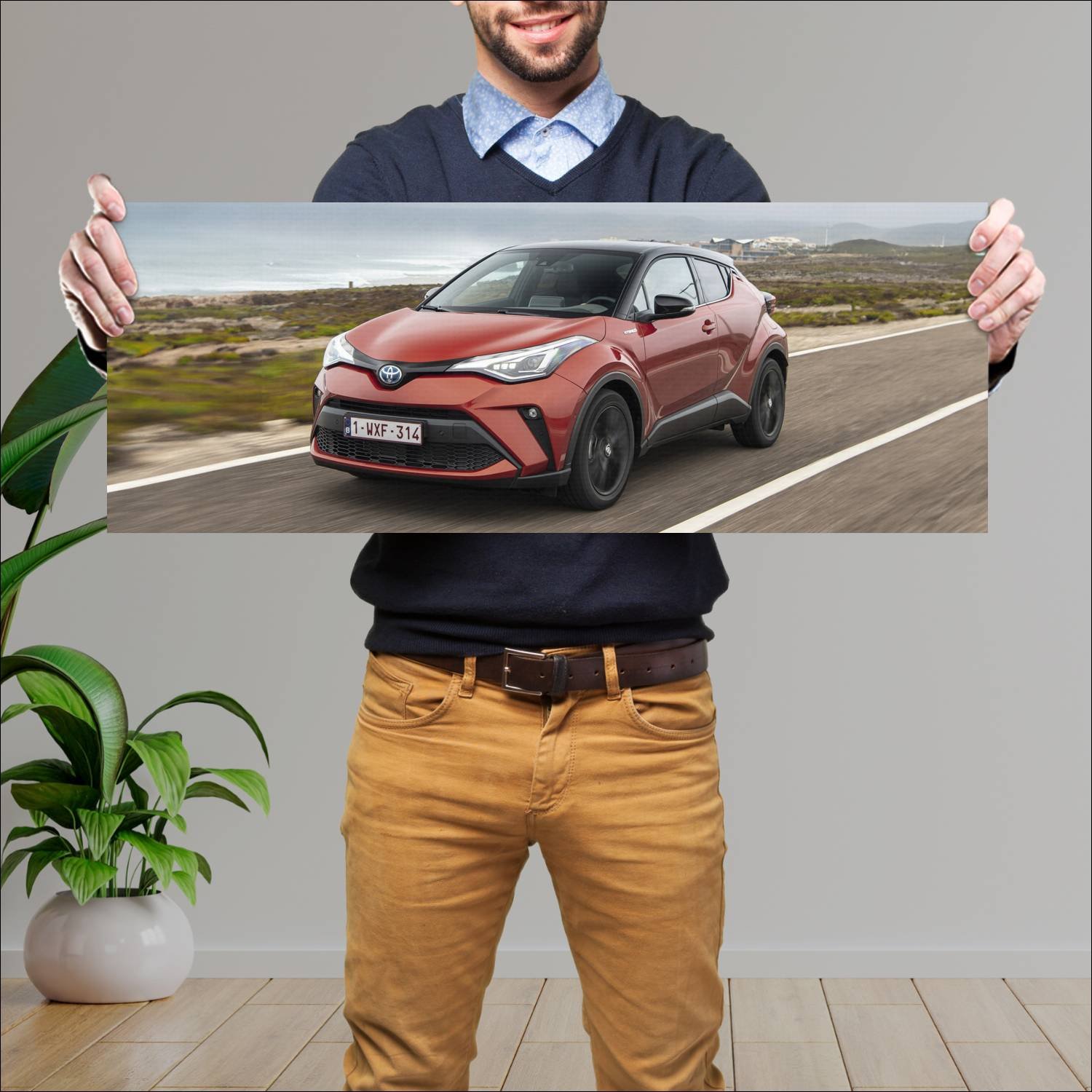 Cuadro grande 30x80cm 2019 toyota c hr hybrid Toyota