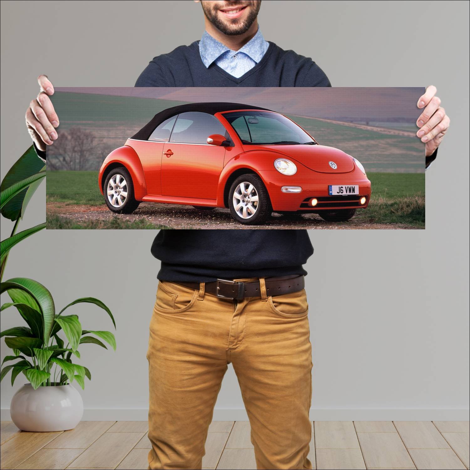 Cuadro grande 30x80cm 2003 volkswagen new beetle c 151 Volkswagen