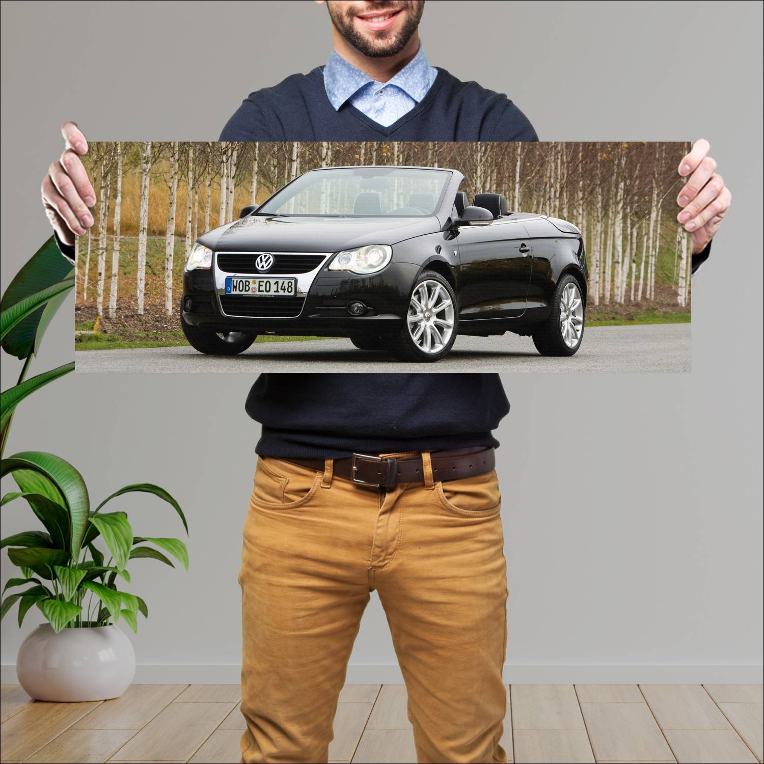 Cuadro grande 30x80cm 2007 volkswagen eos individu 292 Volkswagen