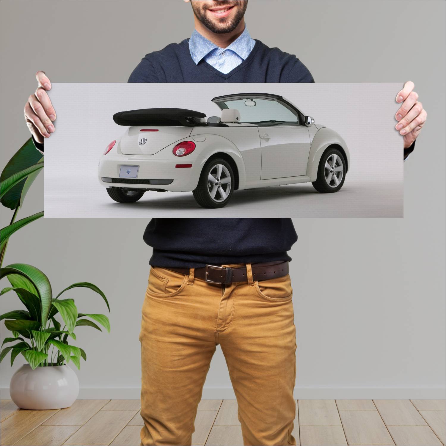 Cuadro grande 30x80cm 2007 volkswagen new beetle c 319 Volkswagen