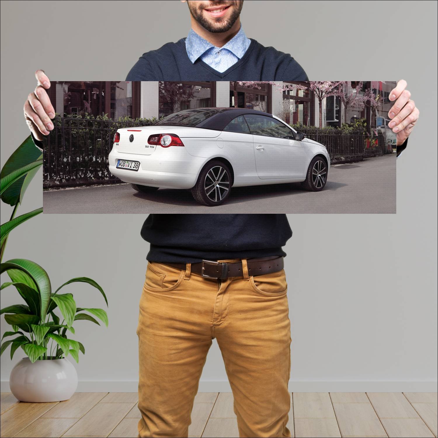 Cuadro grande 30x80cm 2008 volkswagen eos white ni 359 Volkswagen