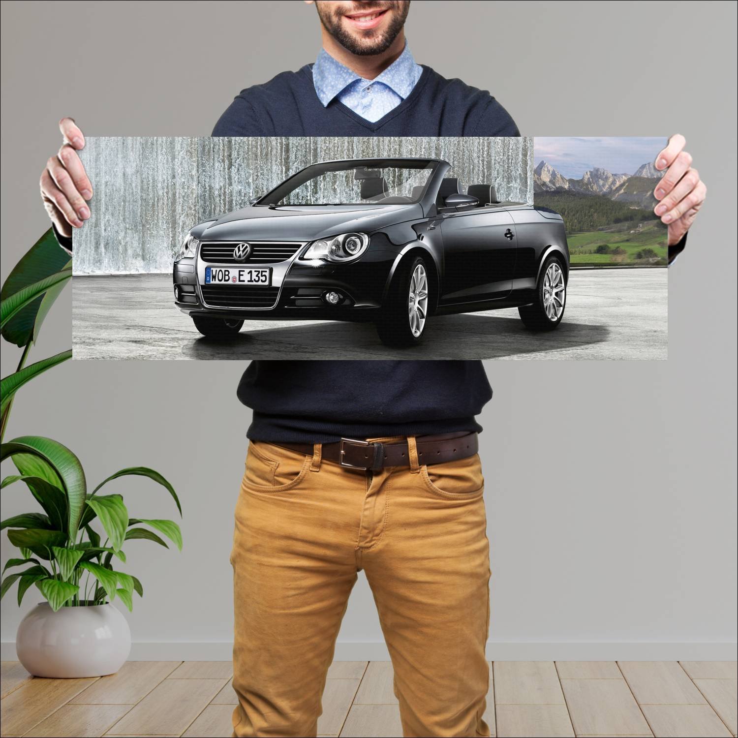 Cuadro grande 30x80cm 2010 volkswagen eos exclusiv 567 Volkswagen