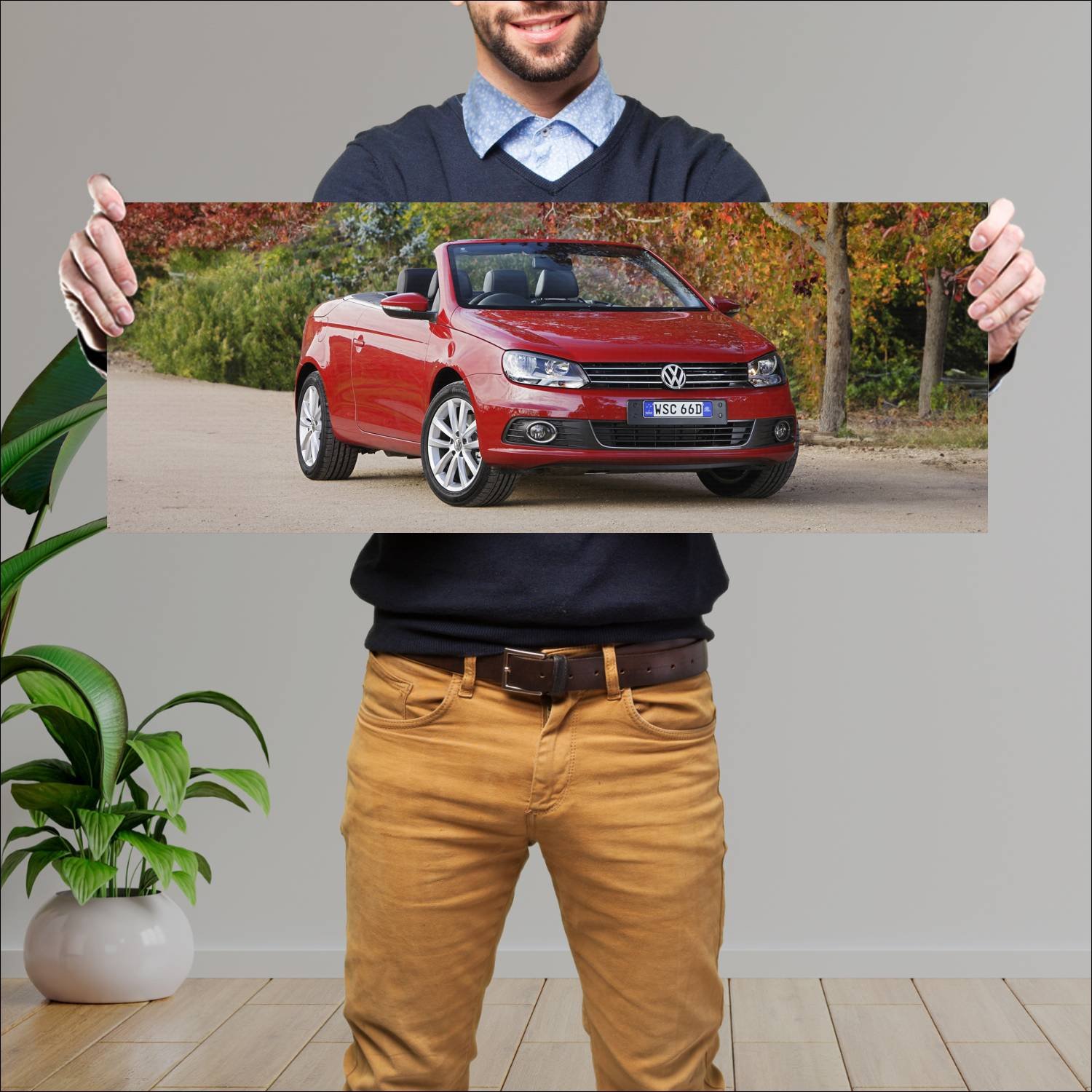 Cuadro grande 30x80cm 2011 volkswagen eos au auto 687 Volkswagen