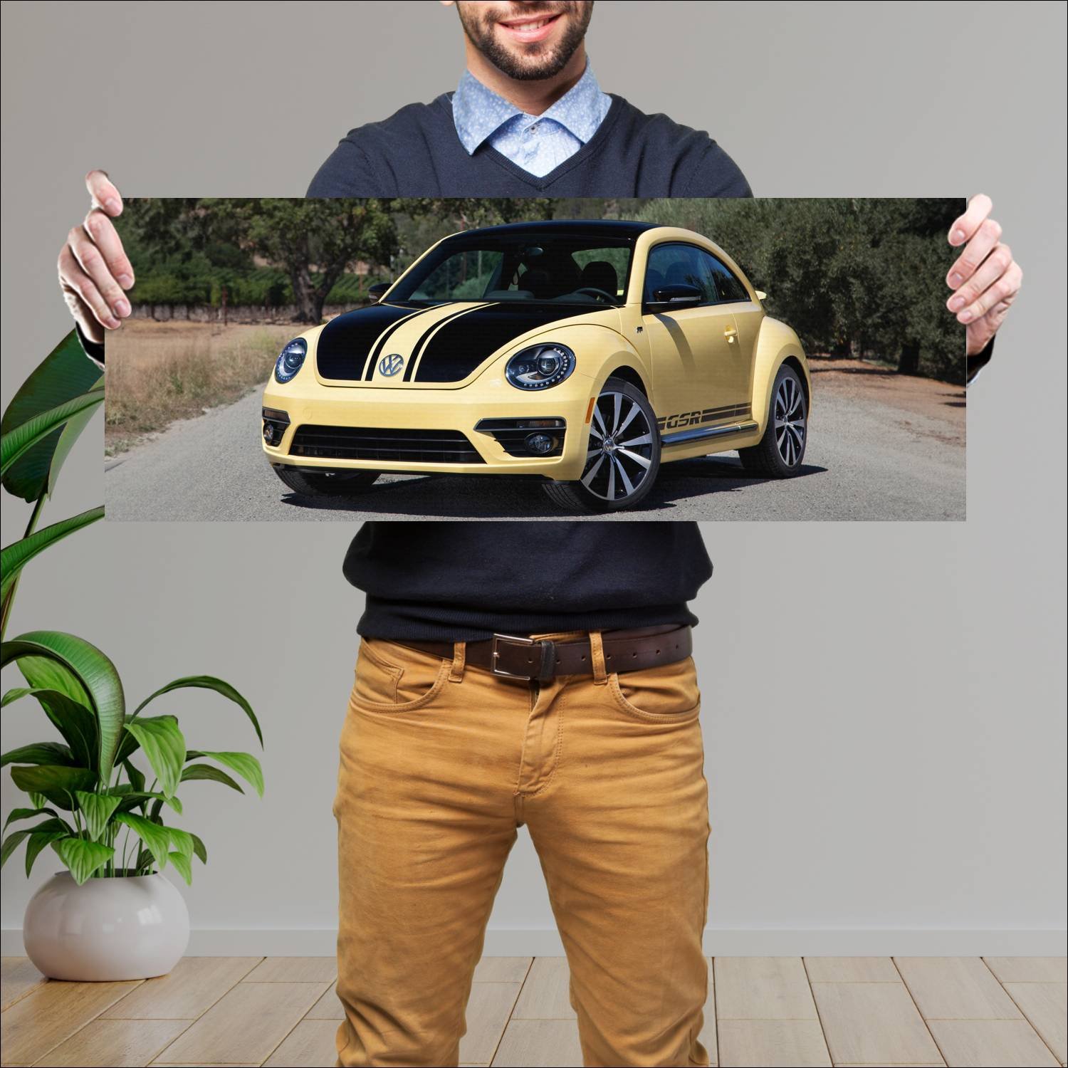 Cuadro grande 30x80cm 2014 volkswagen beetle gsr u 984 Volkswagen