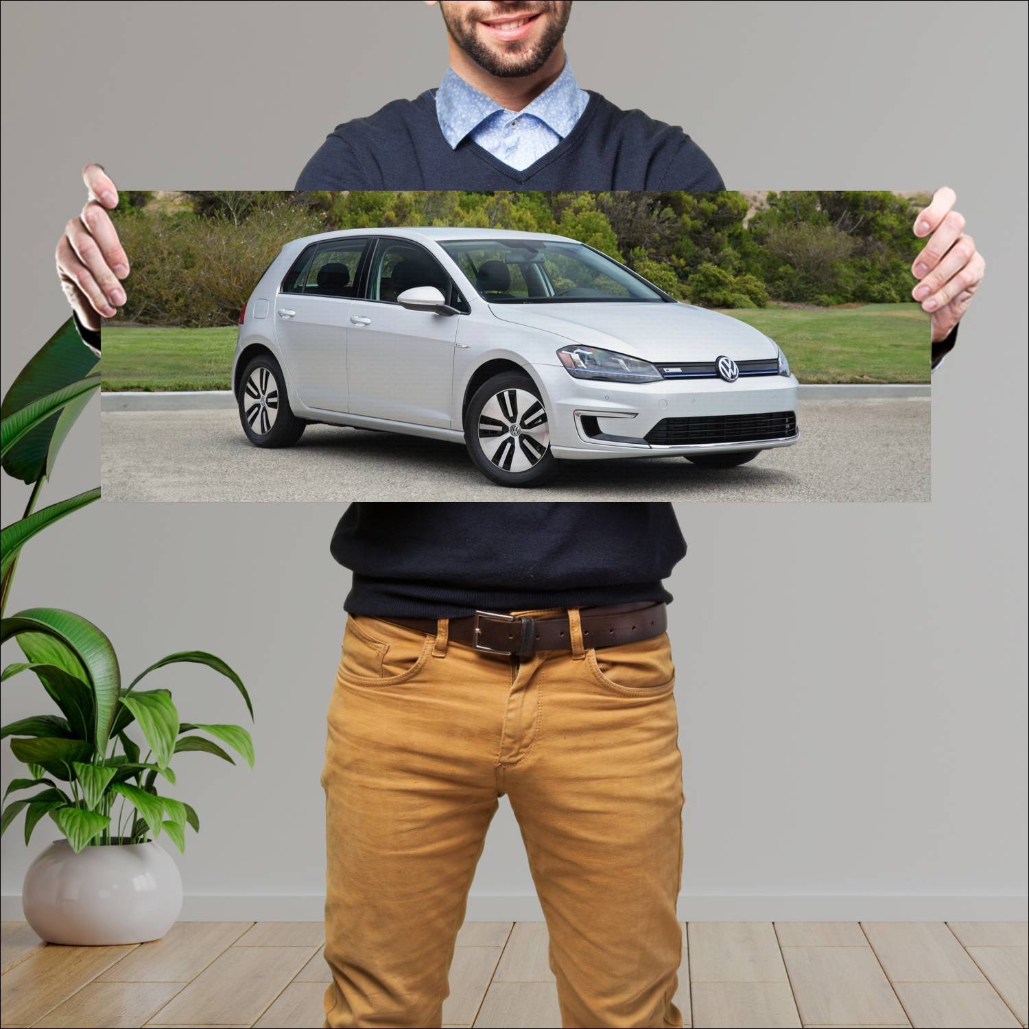 Cuadro grande 30x80cm 2015 volkswagen e golf 5 doo 148 Volkswagen