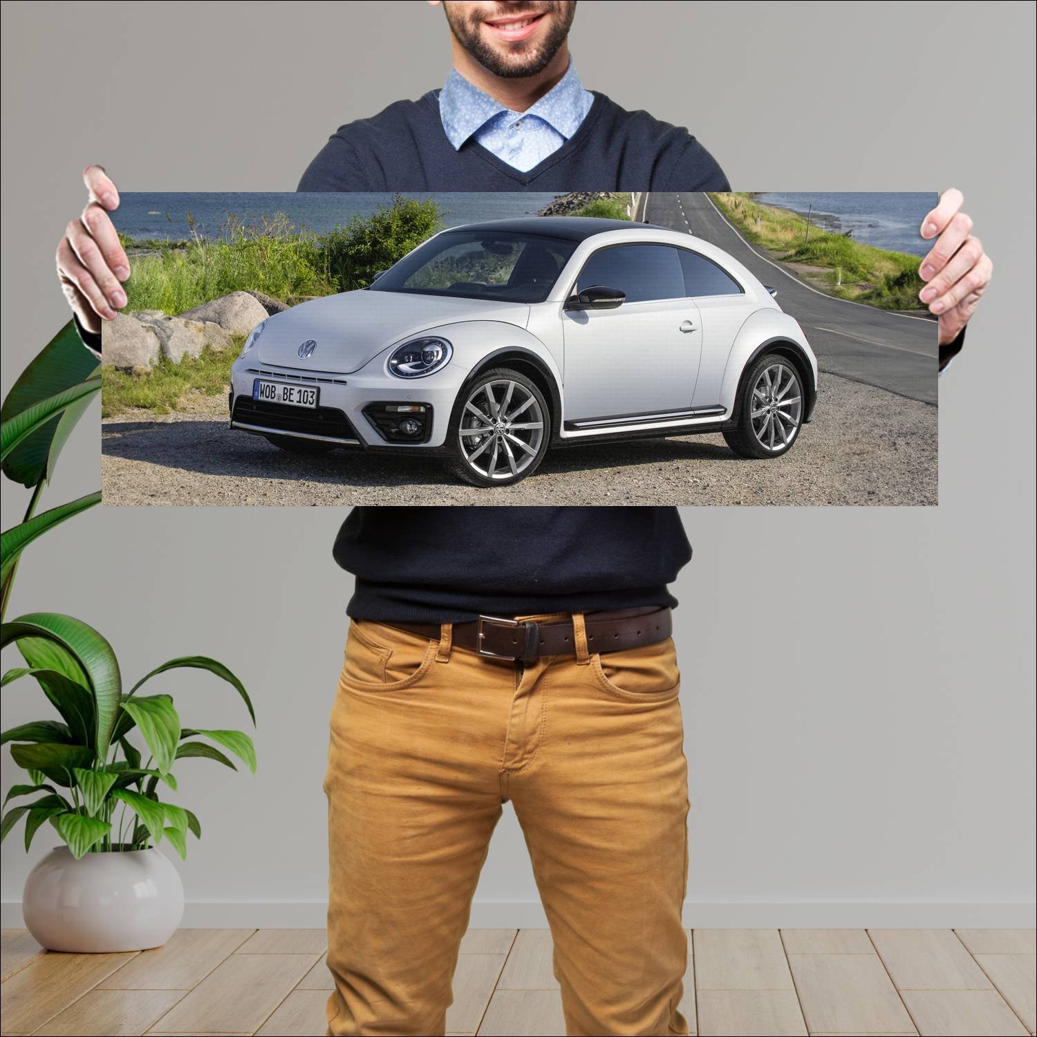 Cuadro grande 30x80cm 2016 volkswagen beetle r lin 296 Volkswagen