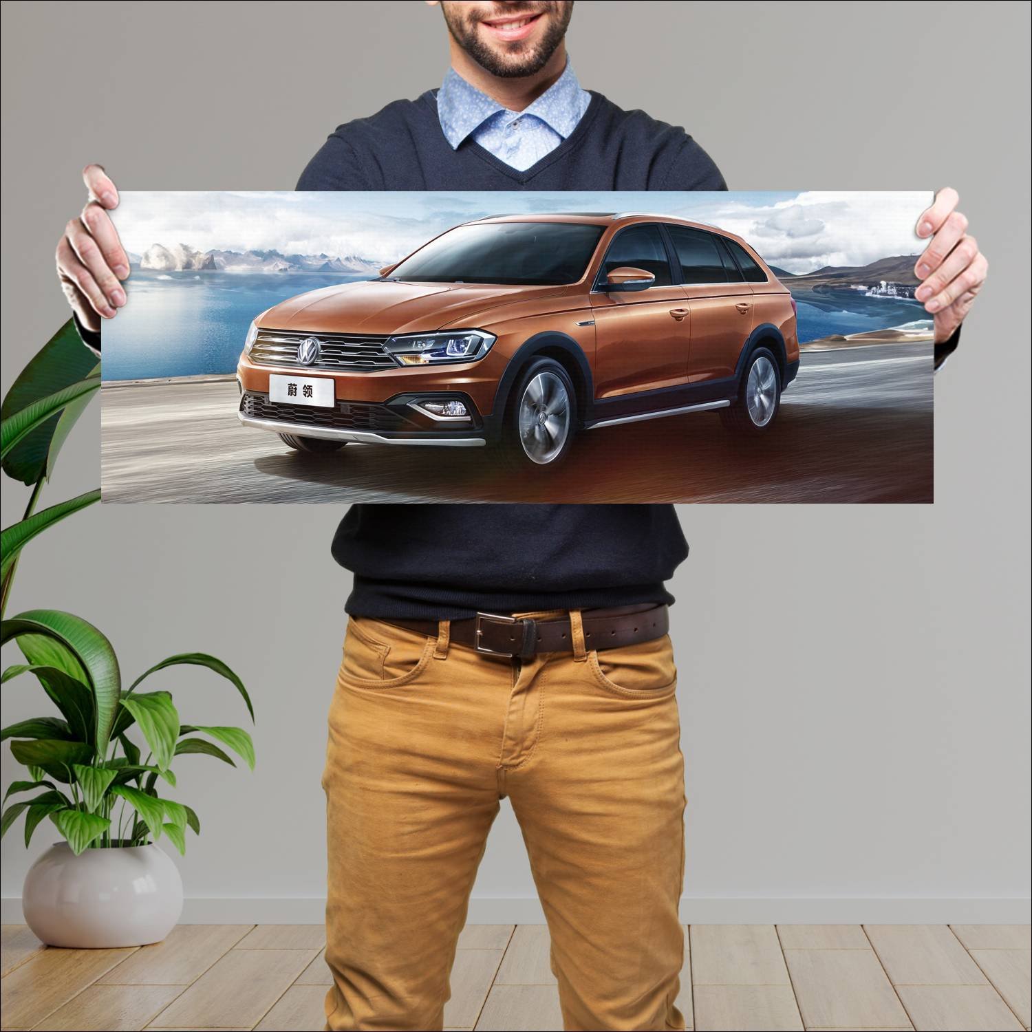 Cuadro grande 30x80cm 2016 volkswagen c trek auto 303 Volkswagen