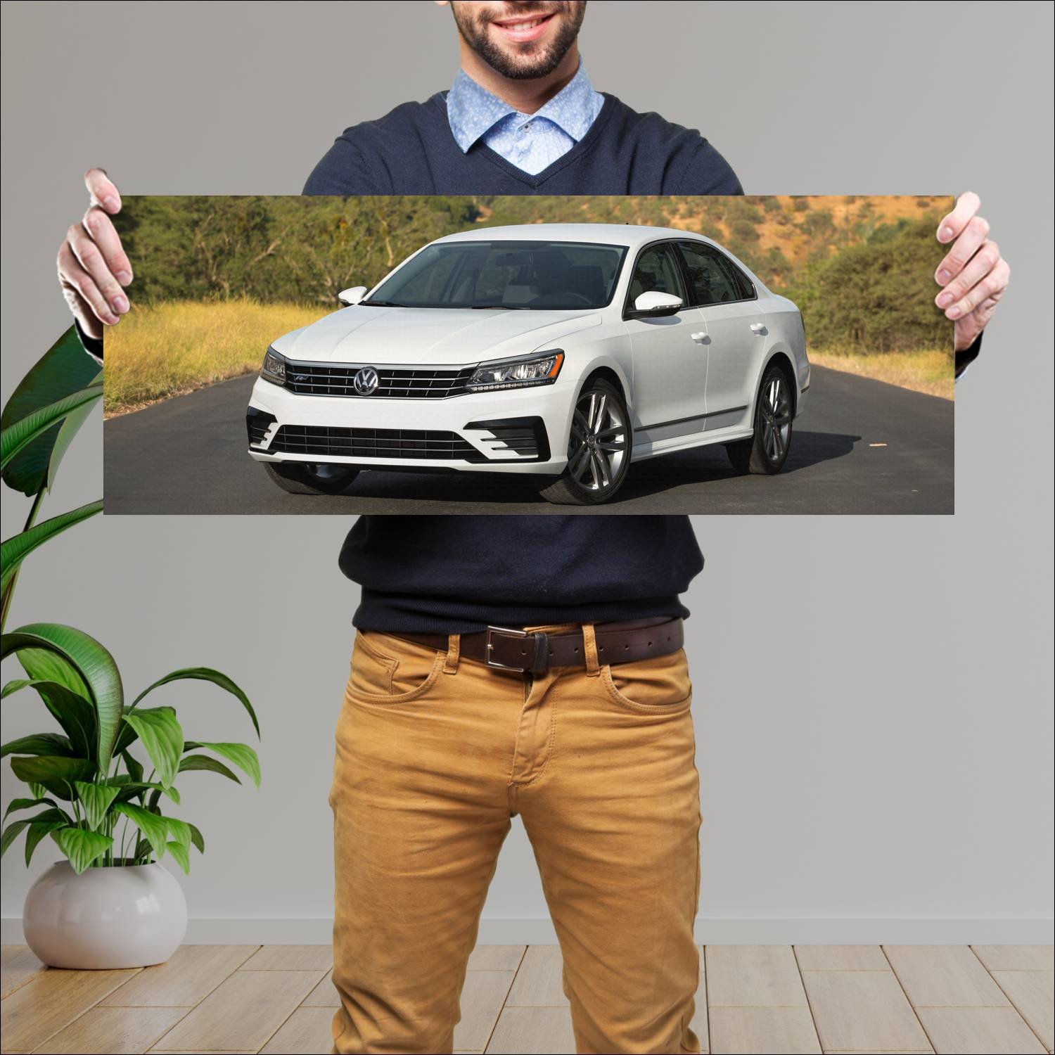 Cuadro grande 30x80cm 2016 volkswagen passat r lin 360 Volkswagen