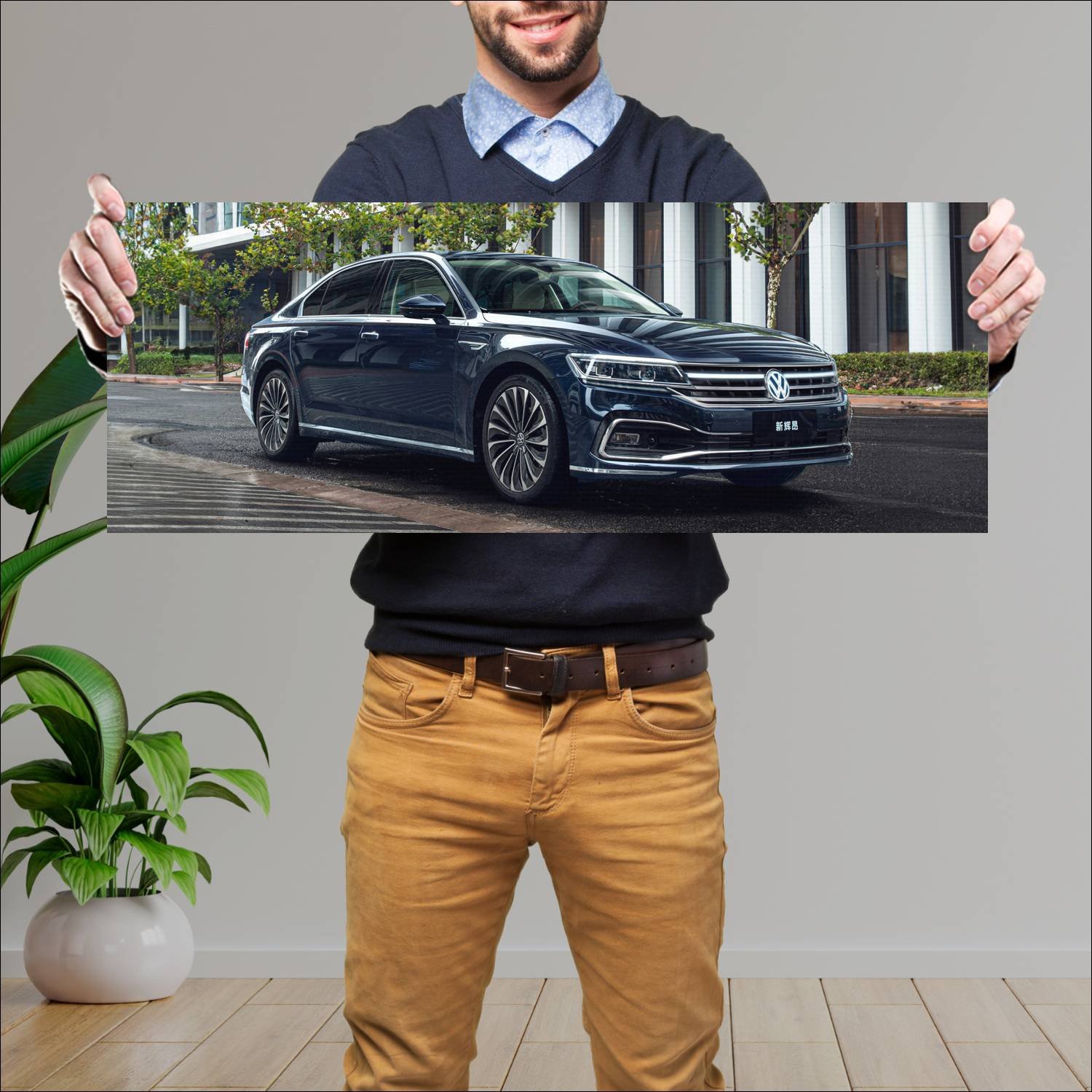 Cuadro grande 30x80cm 2020 volkswagen phideon Volkswagen