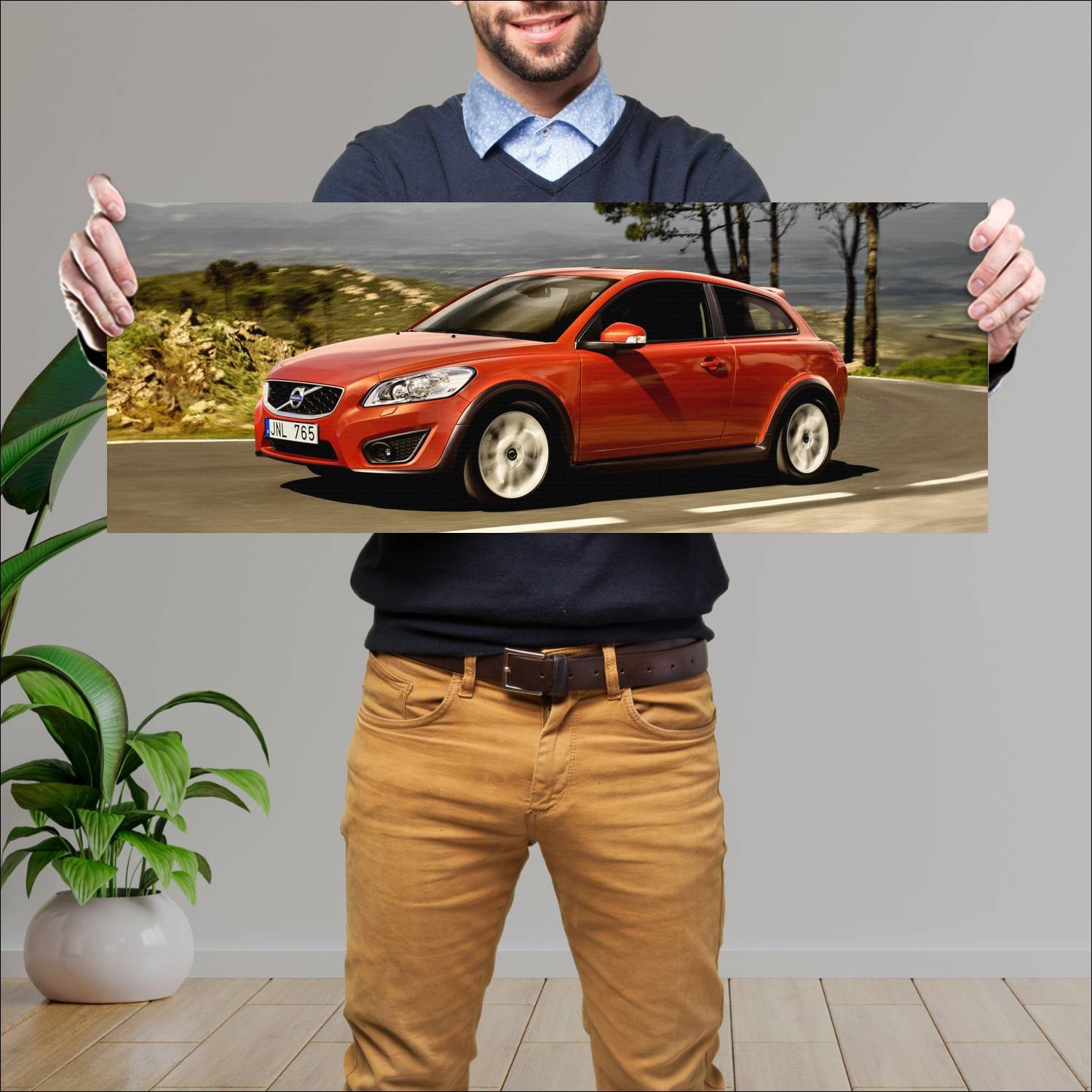Cuadro grande 30x80cm 2009 volvo c30 Volvo