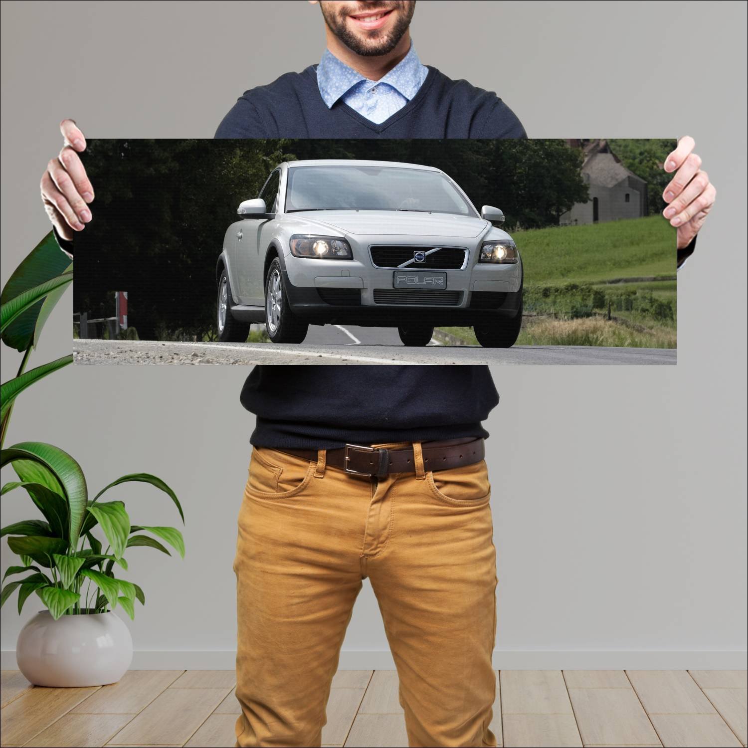 Cuadro grande 30x80cm 2009 volvo c30 polar auto 266 Volvo