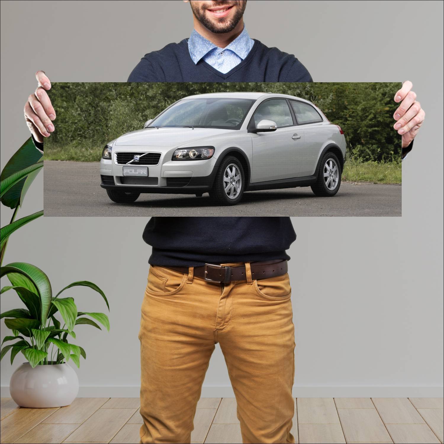 Cuadro grande 30x80cm 2009 volvo c30 polar auto 267 Volvo