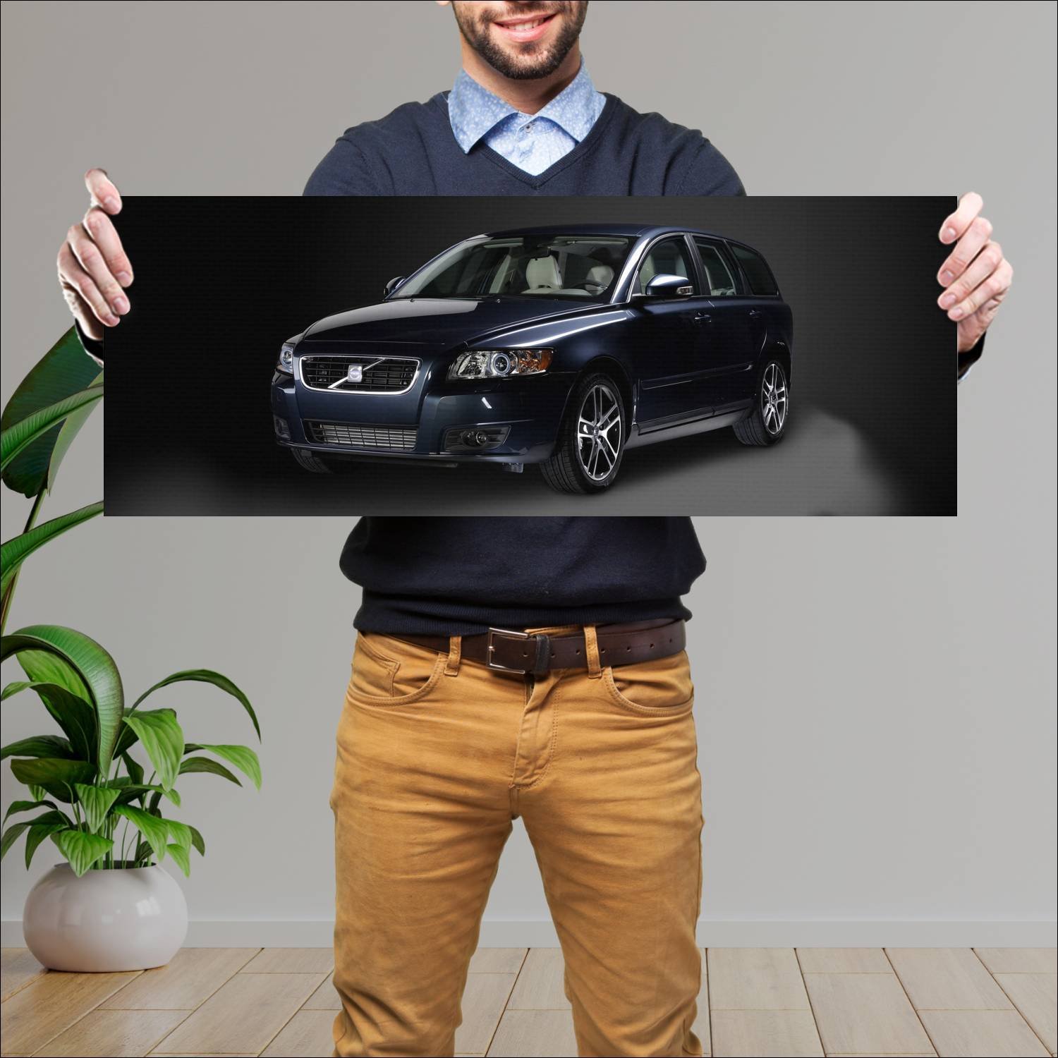 Cuadro grande 30x80cm 2009 volvo v50 polar auto 275 Volvo