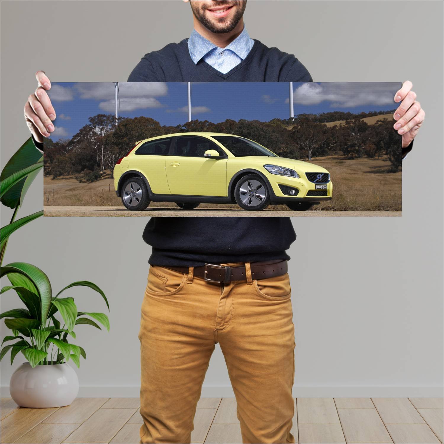 Cuadro grande 30x80cm 2010 volvo c30 au auto 298 Volvo