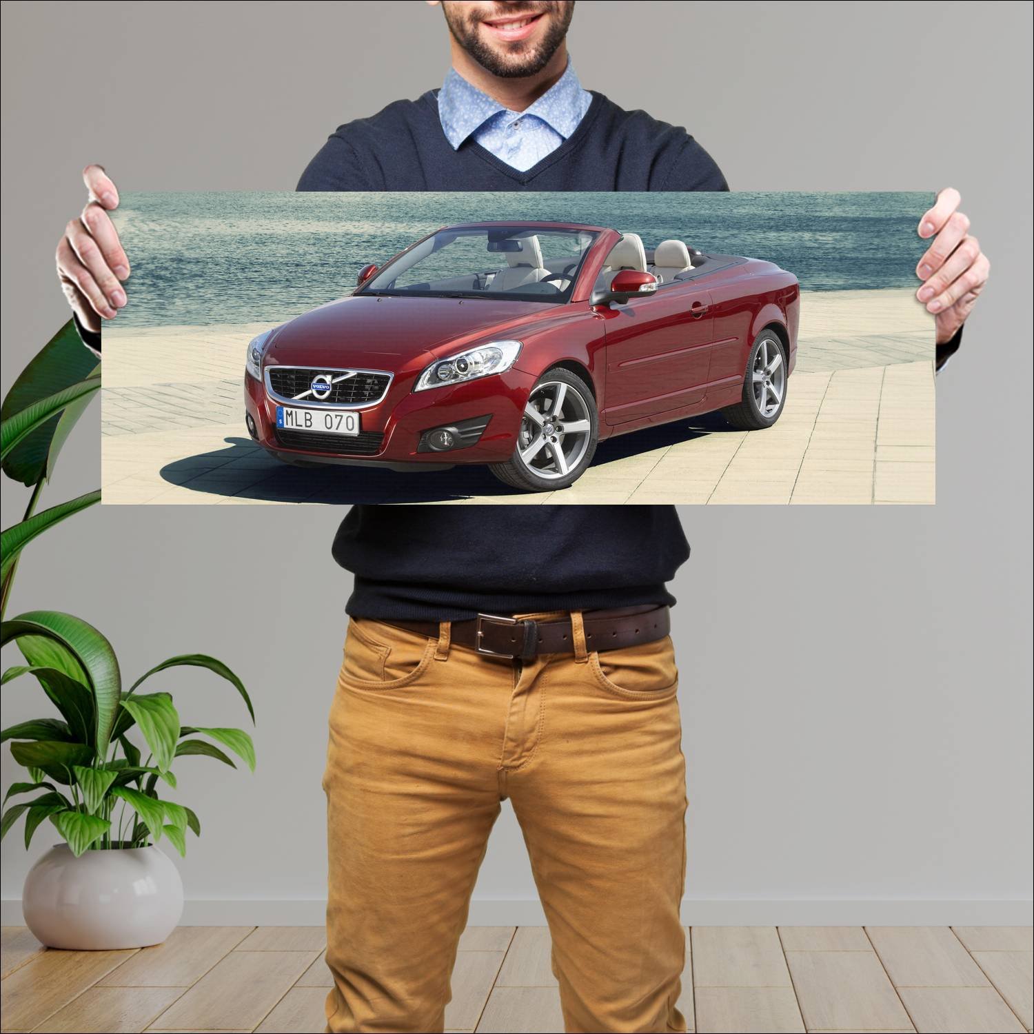 Cuadro grande 30x80cm 2010 volvo c70 auto 307 Volvo