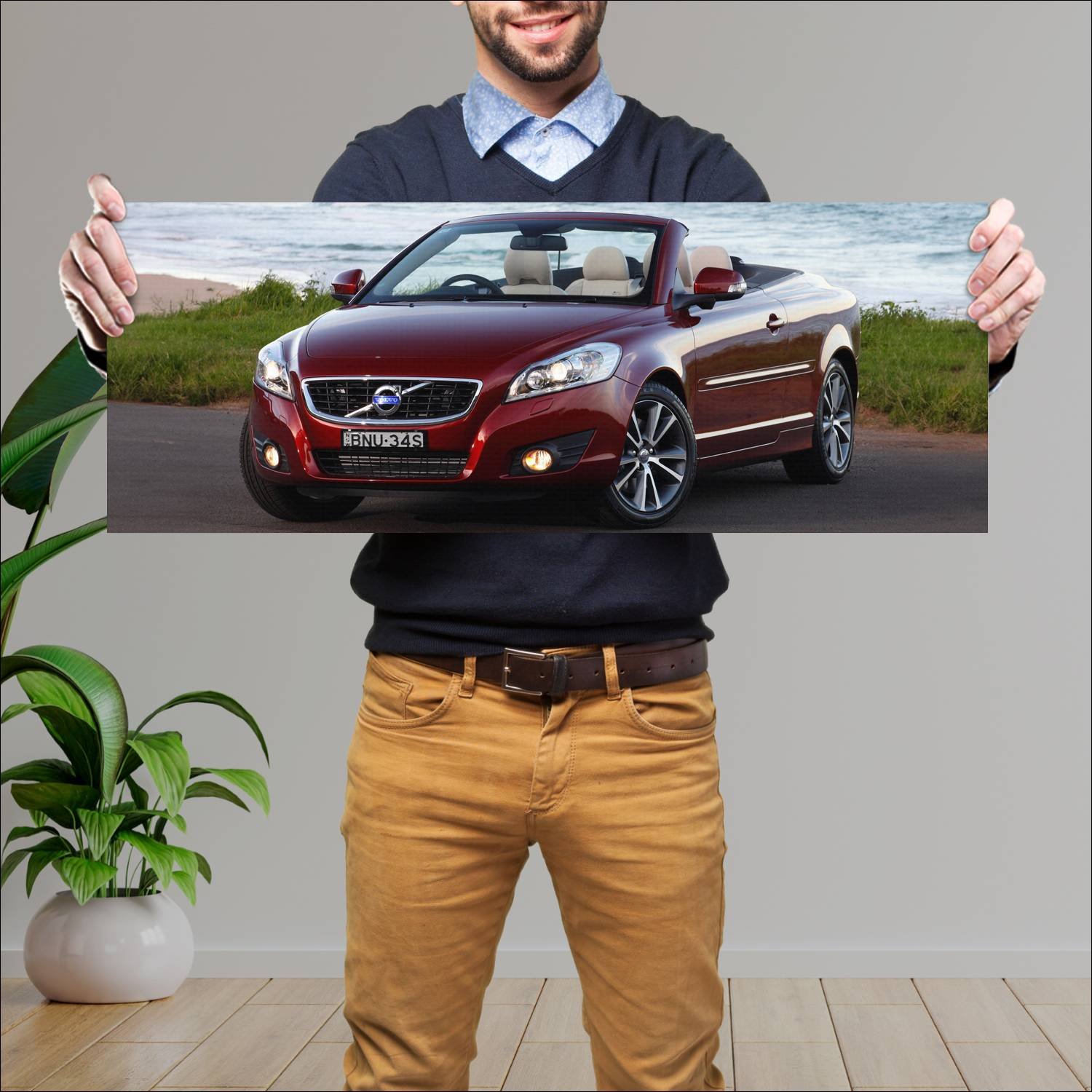 Cuadro grande 30x80cm 2010 volvo c70 au auto 308 Volvo