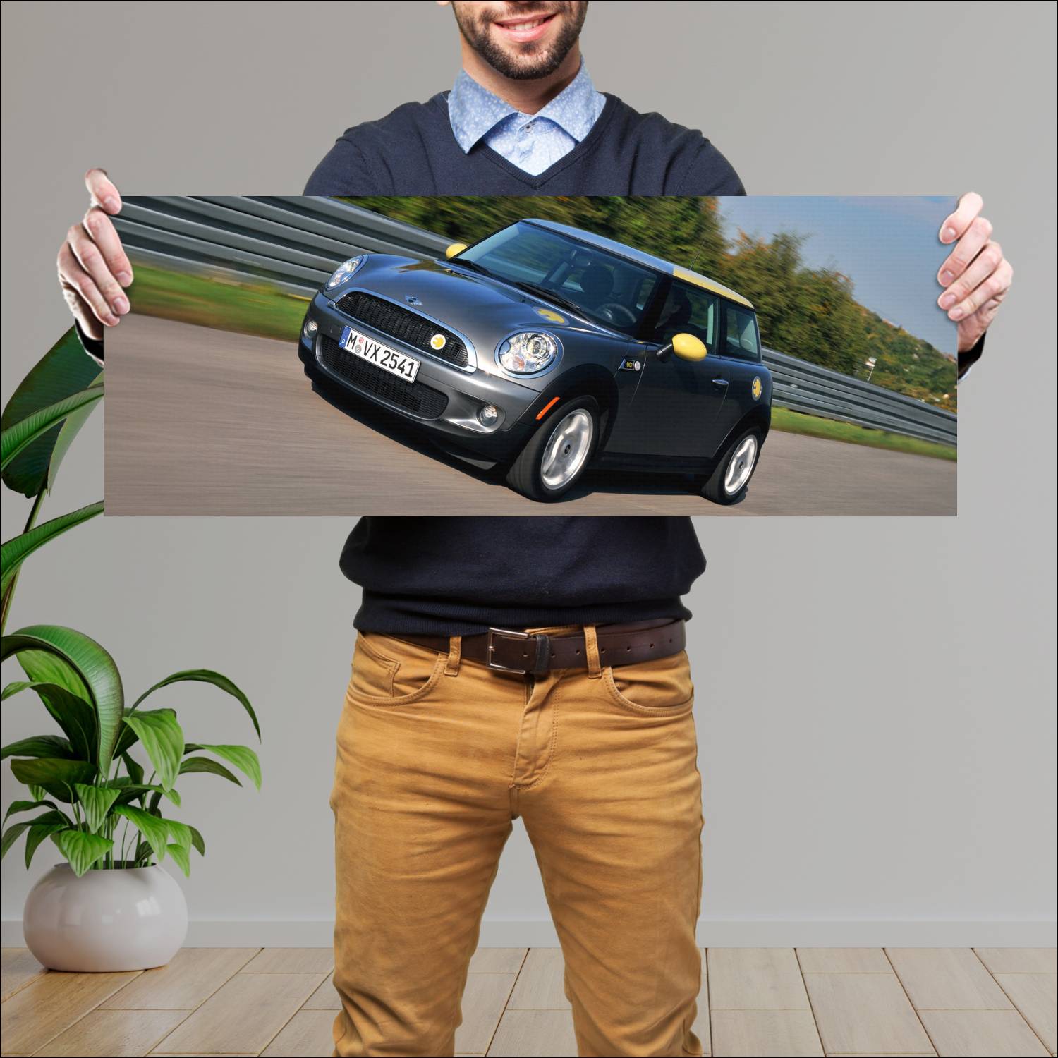Cuadro grande 30x80cm 2009 mini e 1824 54 Mini