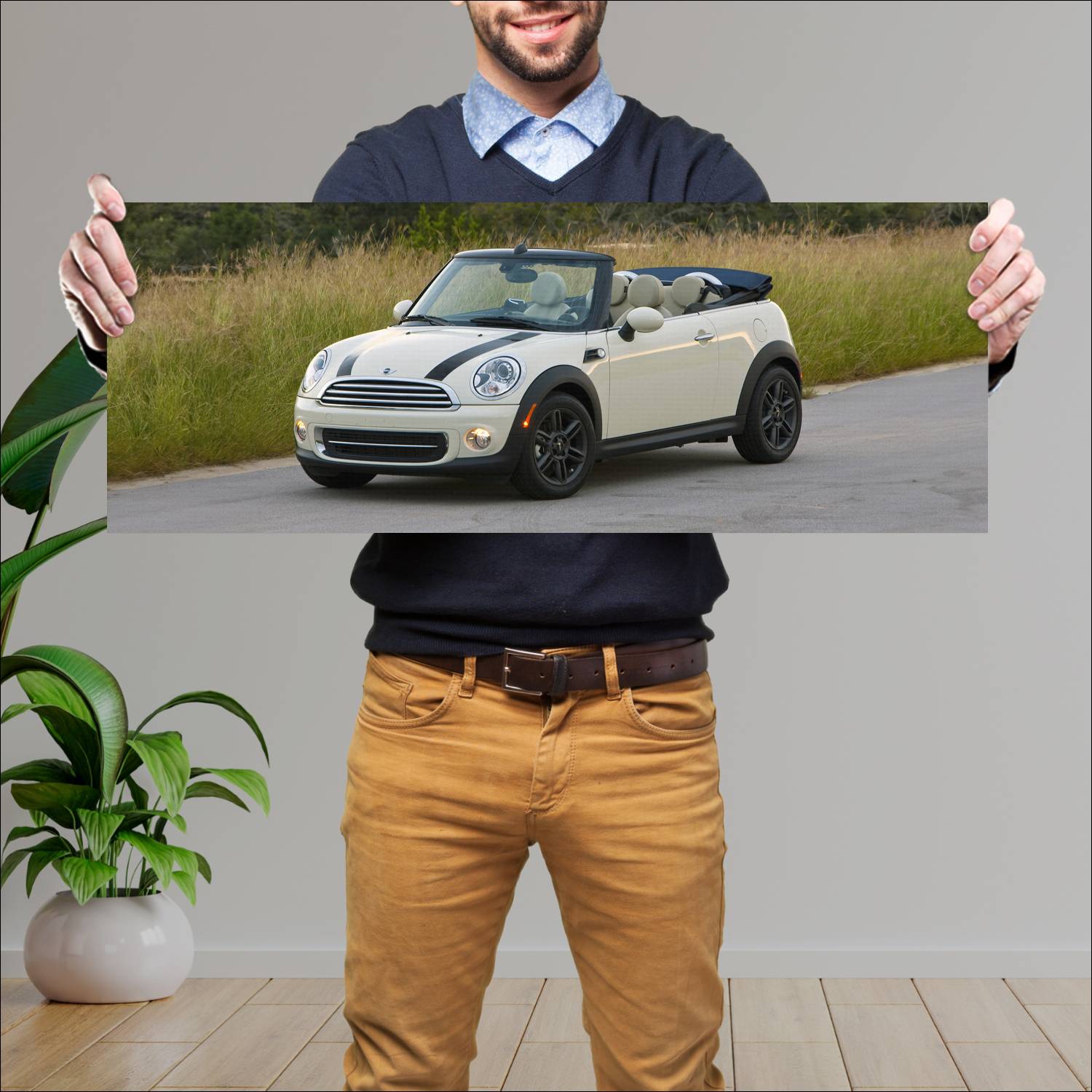 Cuadro grande 30x80cm 2010 mini cooper convertible 66 Mini