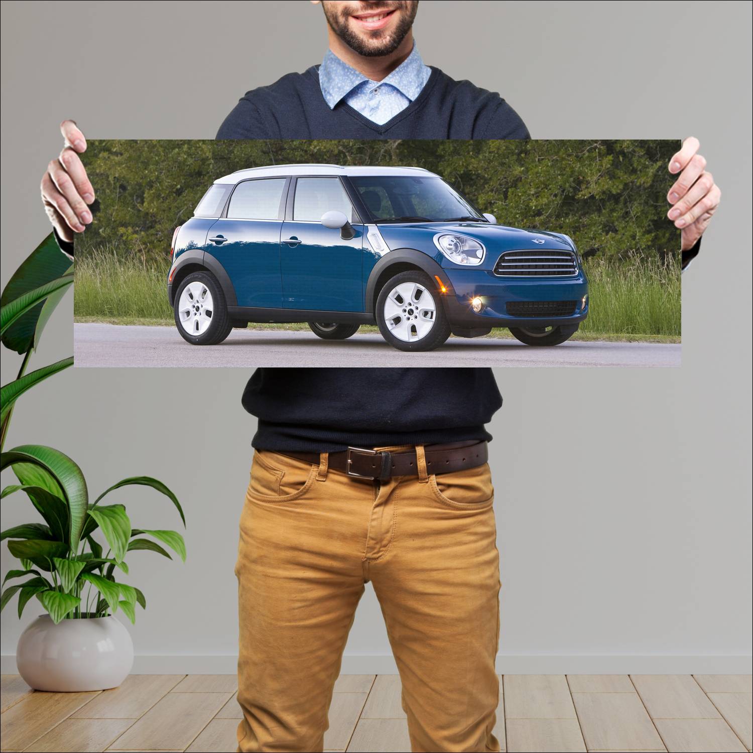 Cuadro grande 30x80cm 2010 mini cooper countryman 70 Mini