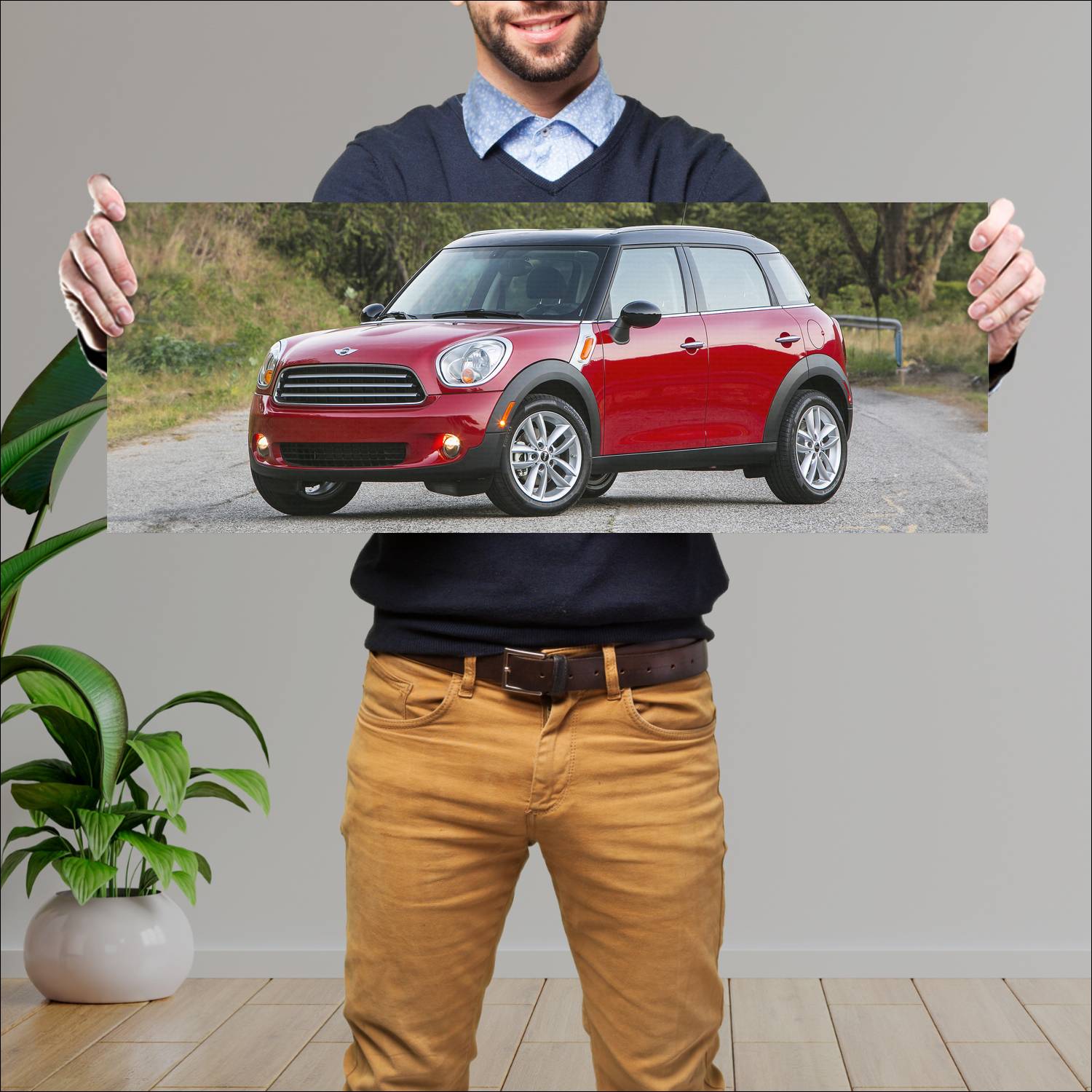 Cuadro grande 30x80cm 2010 mini cooper countryman 71 Mini